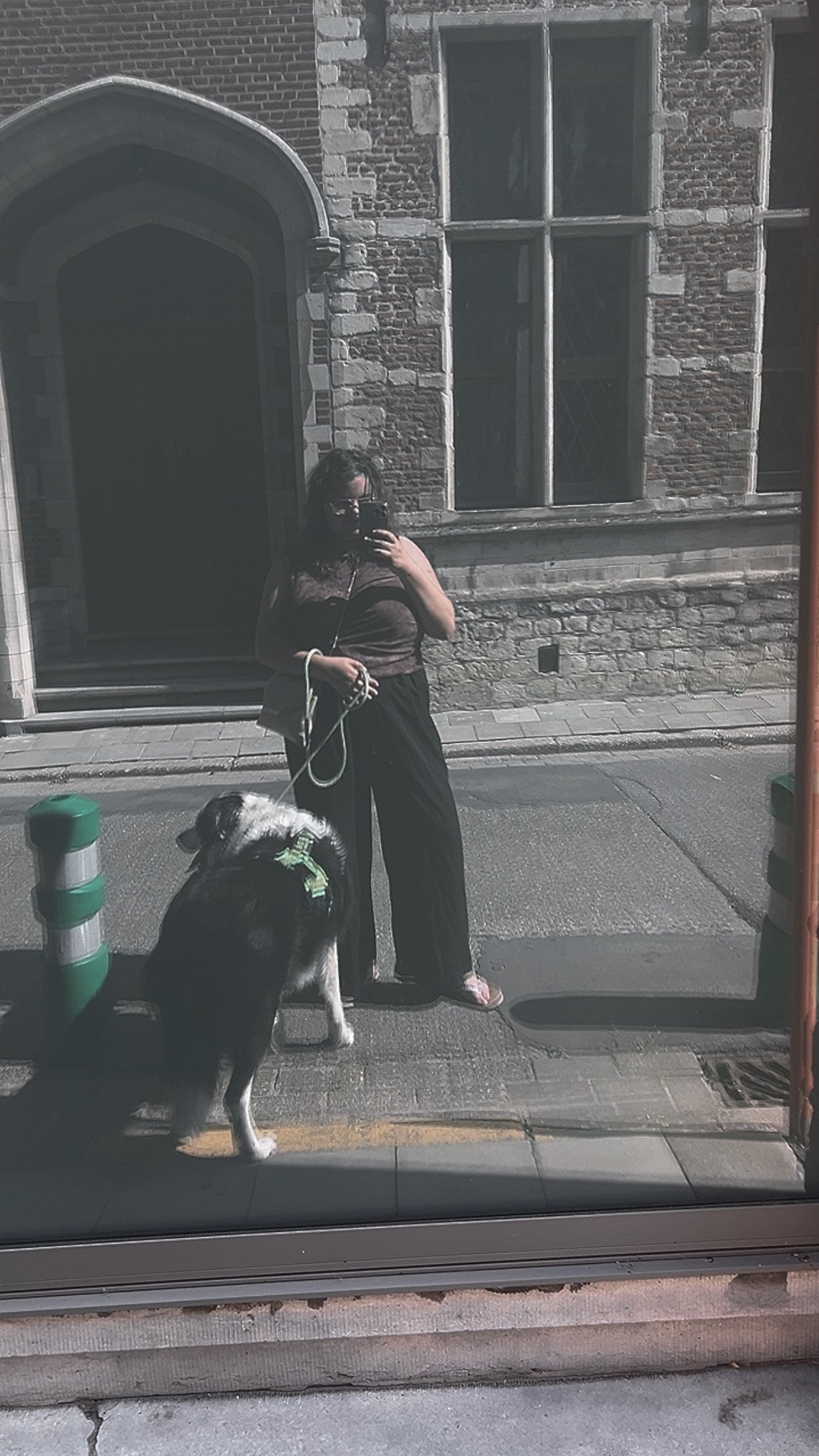 Dorine, dierenoppas in Veldhoven, foto 2