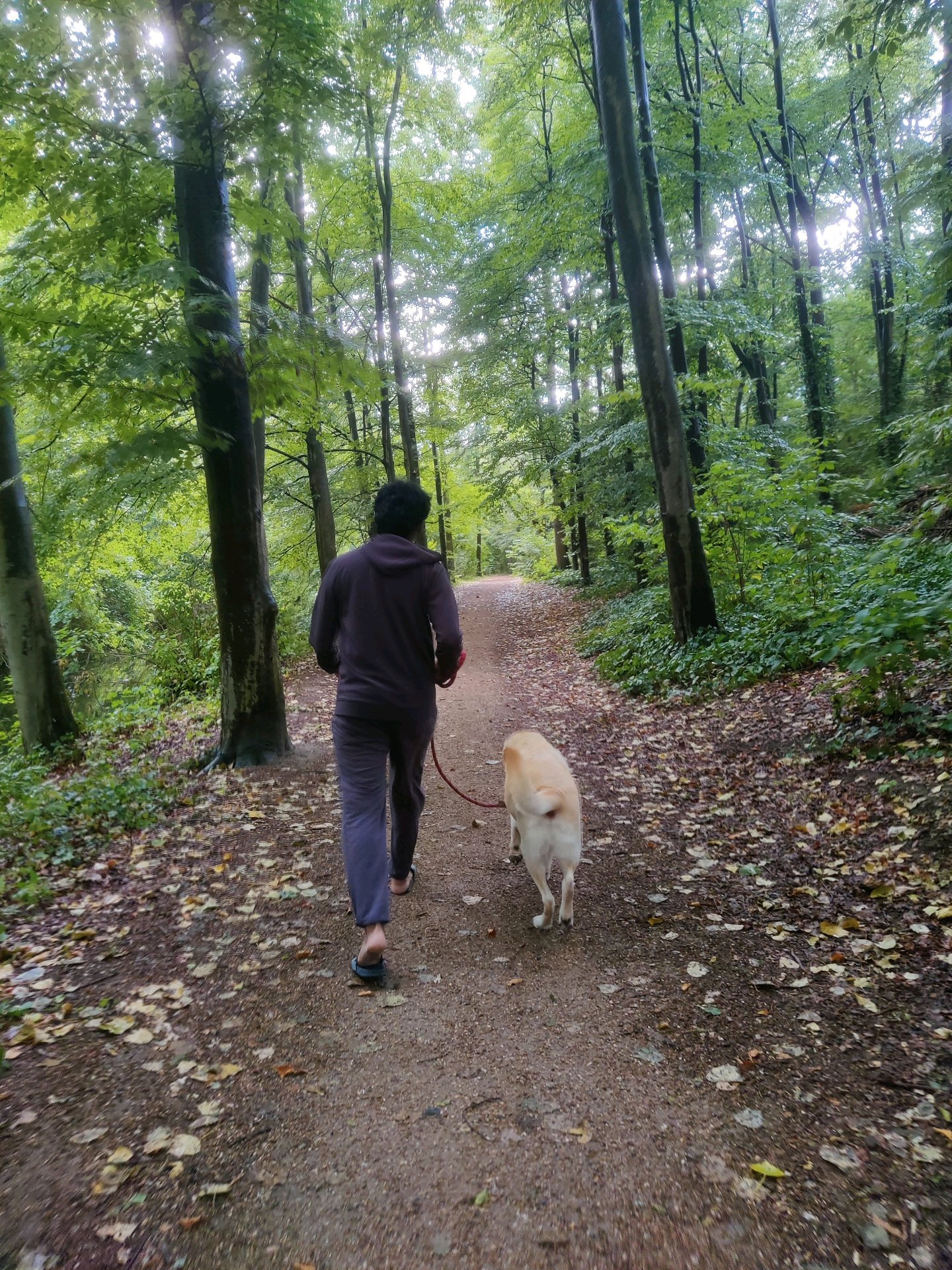 G, pet sitter in Hoogvliet Rotterdam, photo 2