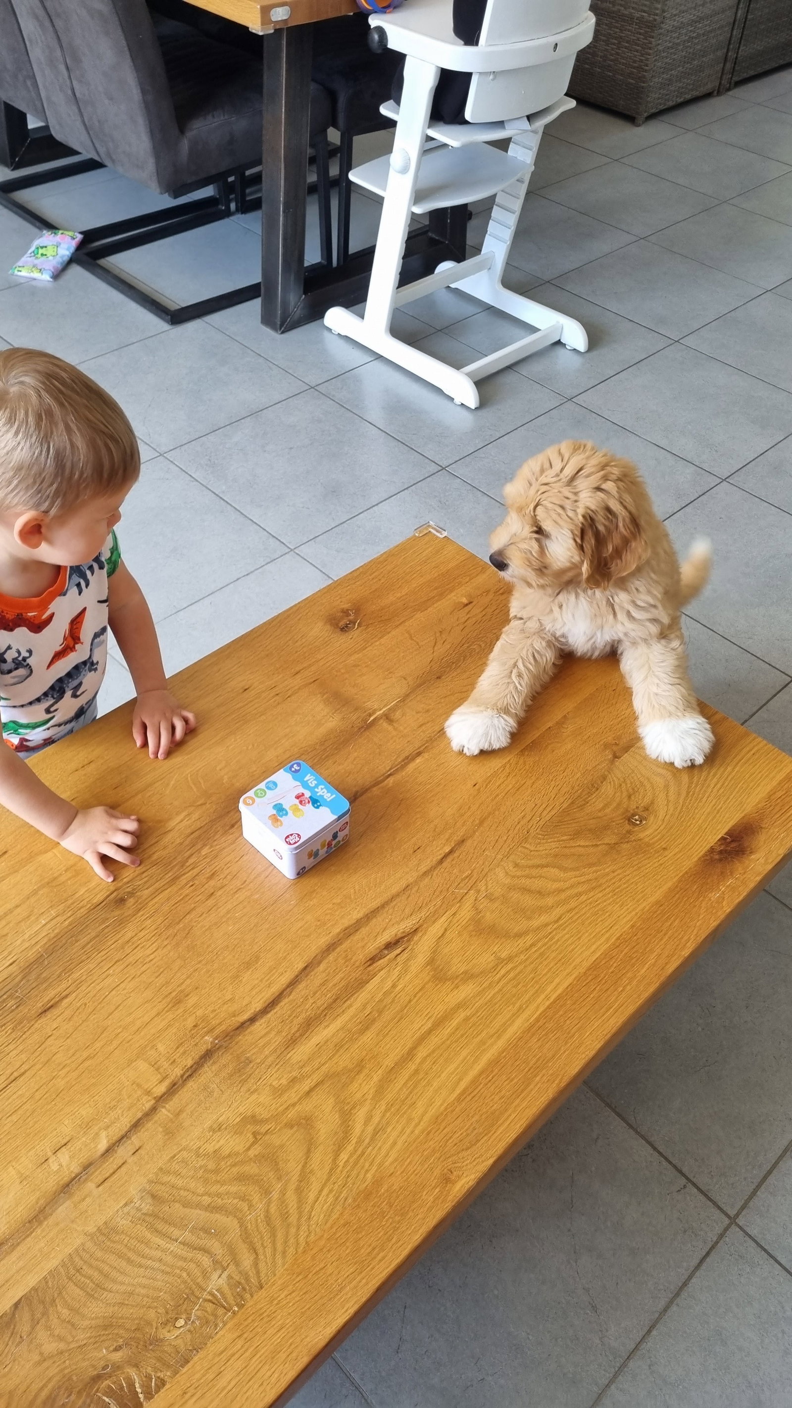 LIZZIE, pet sitter in 's-Gravenzande, photo 5