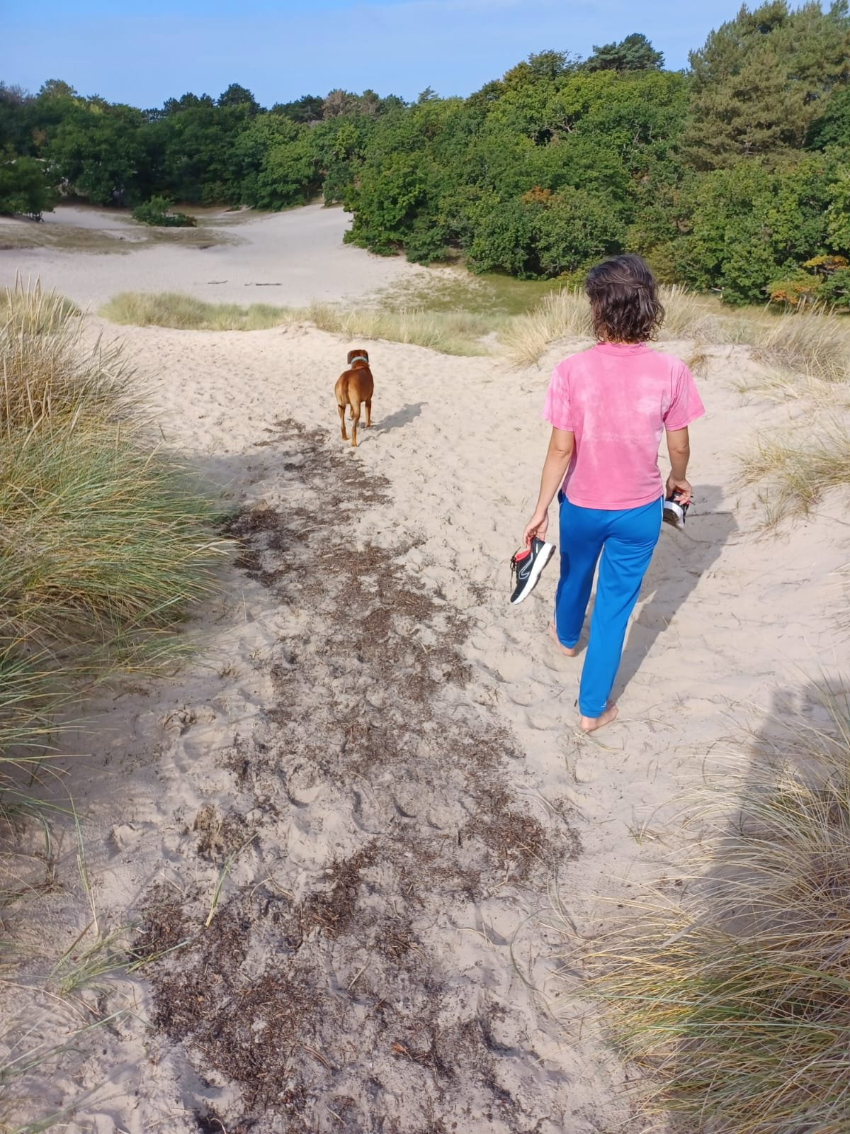 Daniela, pet sitter in Alkmaar, photo 3