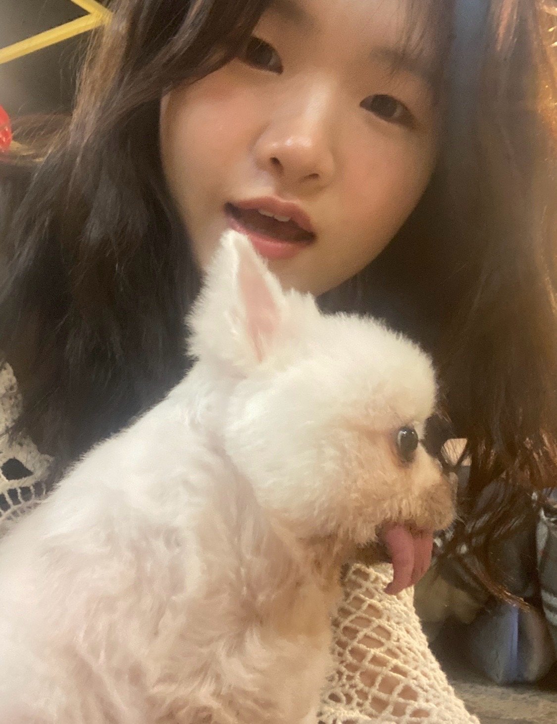 Chaemee, pet sitter in Eindhoven, photo 1