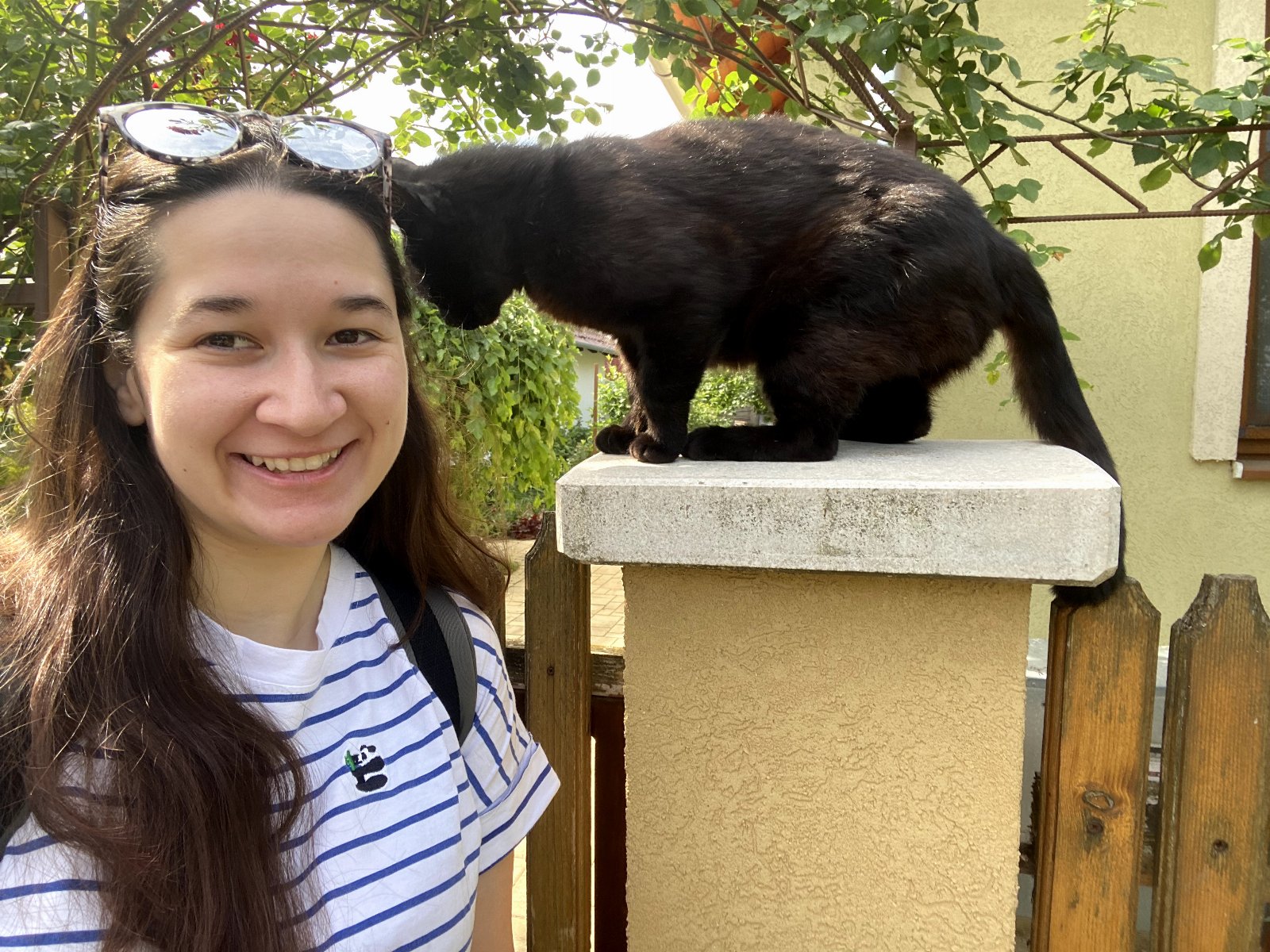 Enikő, pet sitter in Eindhoven, photo 2