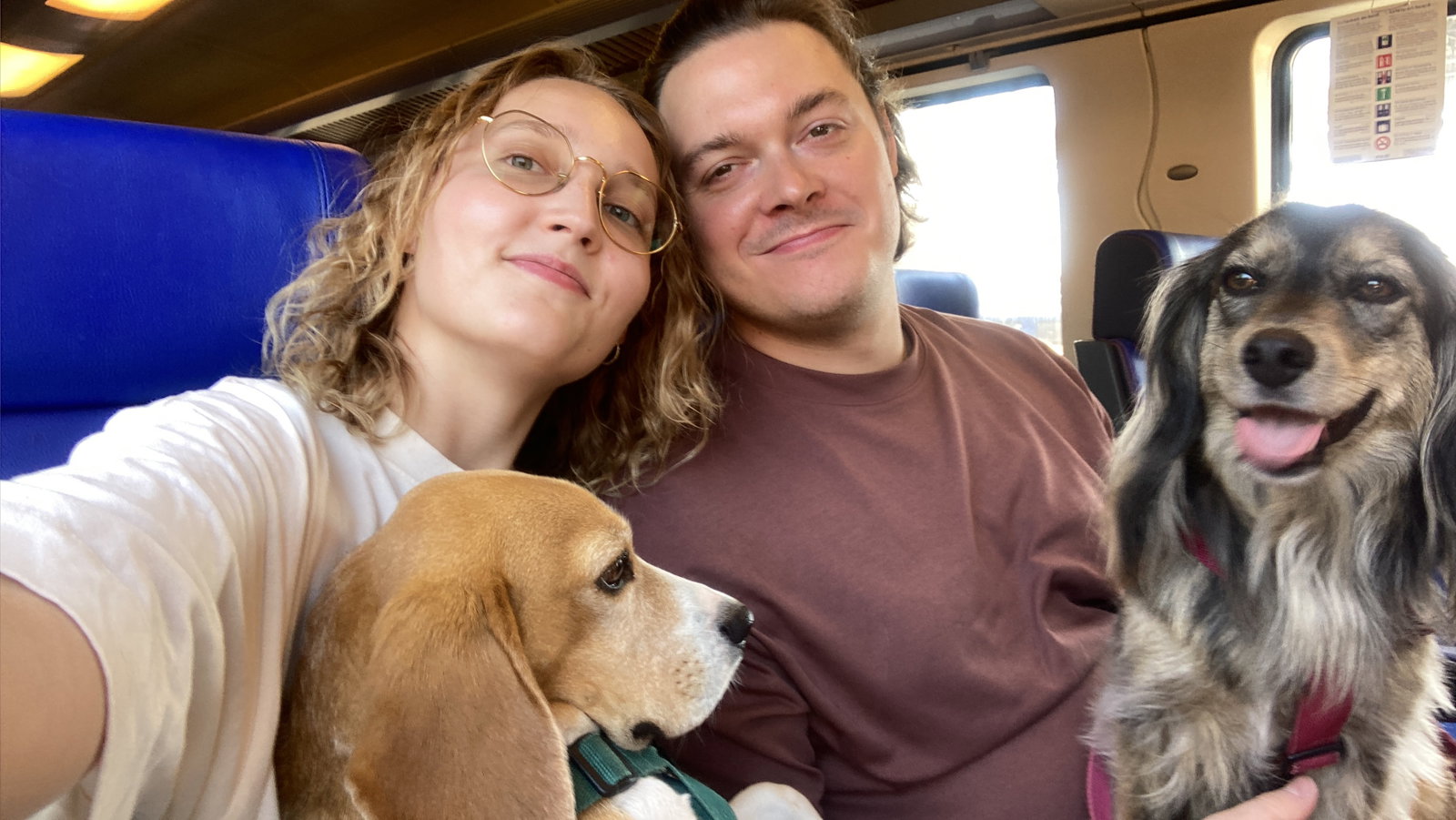 Olesia, pet sitter in Amsterdam, photo 1