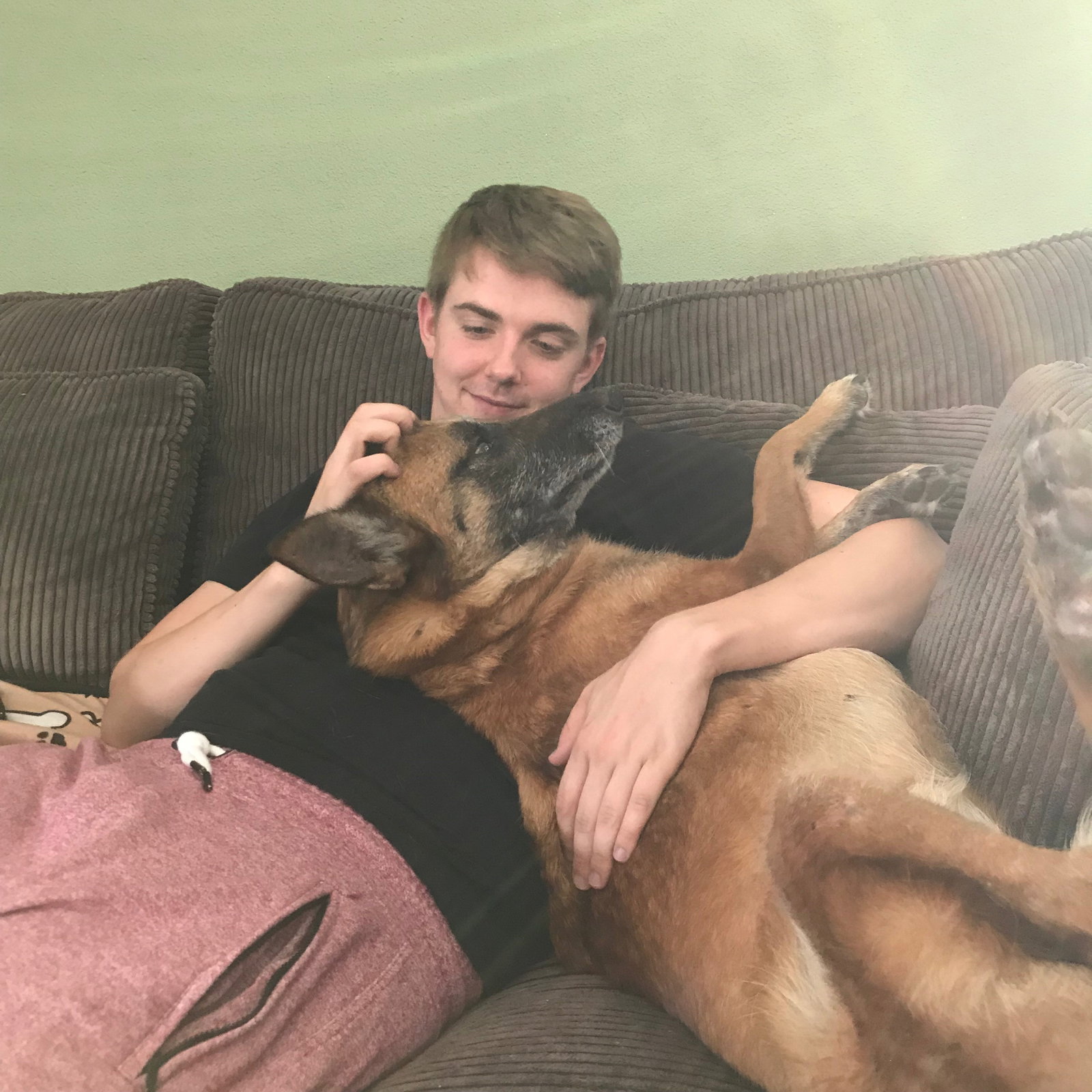 Didi & Dylan, pet sitter in 's-Gravenhage, photo 3
