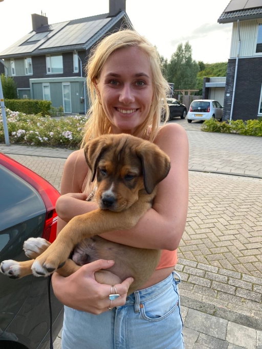 Sanne, pet sitter in Amsterdam, photo 1