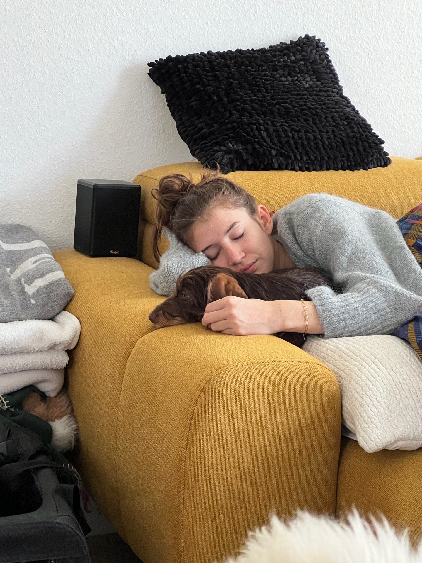 Isabelle, Tiersitter in Hamburg, Foto 2
