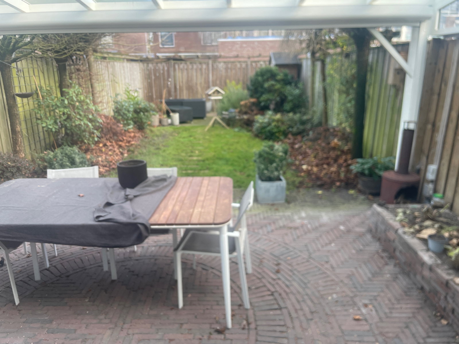 Marc, dierenoppas in Eindhoven, foto 1