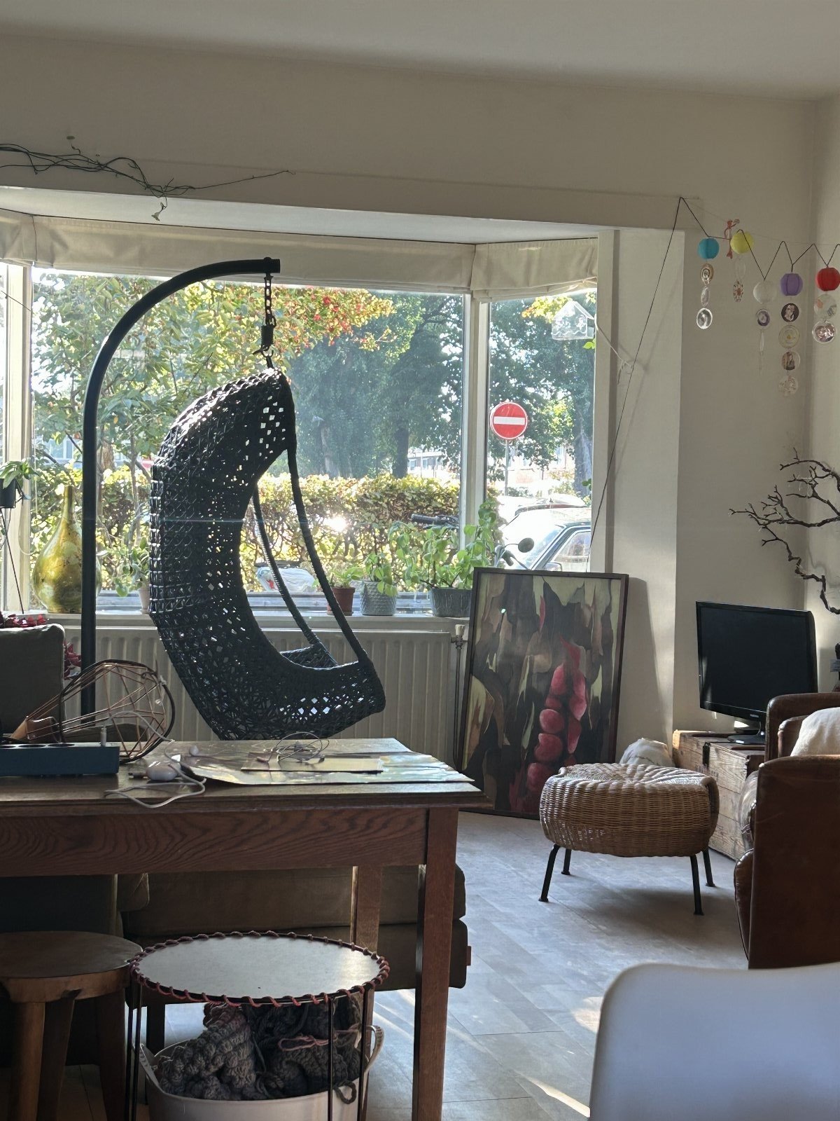 Roelie, pet sitter in Utrecht, photo 3