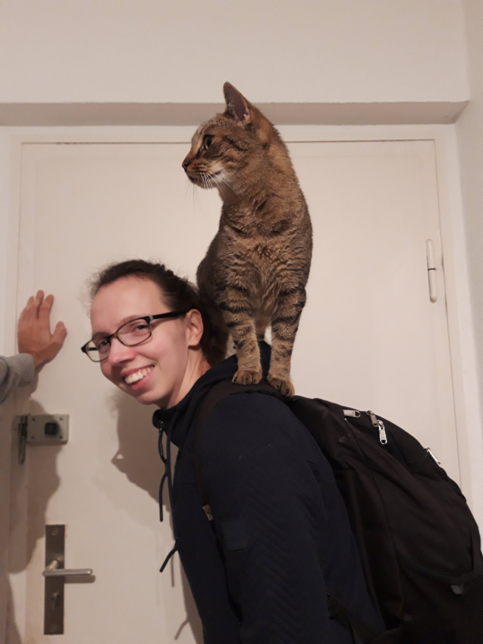 Laura, Tiersitter in Darmstadt, Foto 1