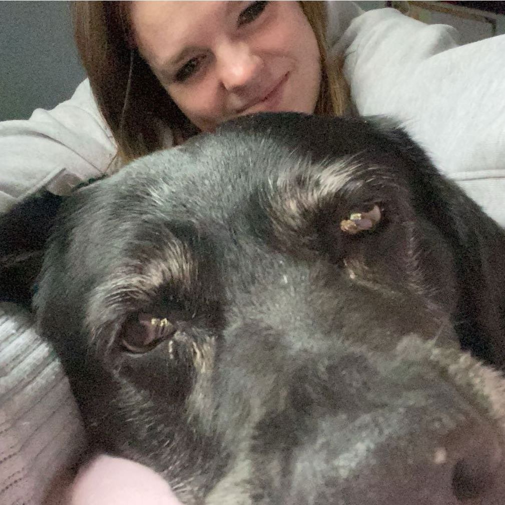 Lisa, pet sitter in Velserbroek, photo 5