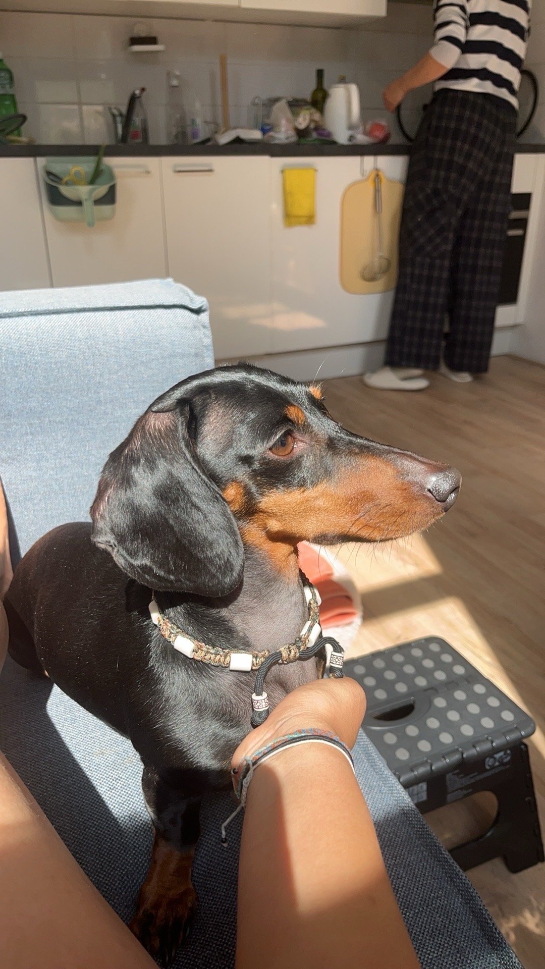 Maggie, pet sitter in Hattingen, photo 3