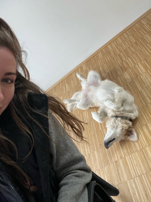 Henrike, pet sitter in Dortmund, photo 3
