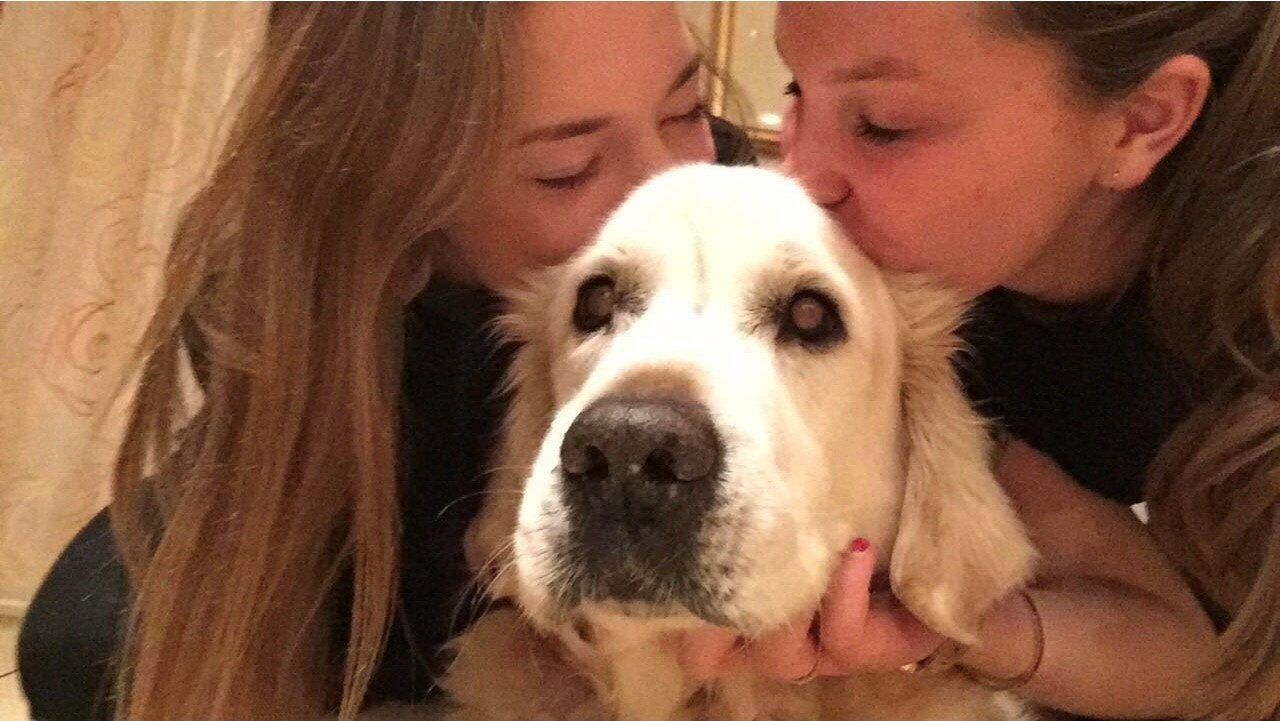 Merel, pet sitter in Eindhoven, photo 2