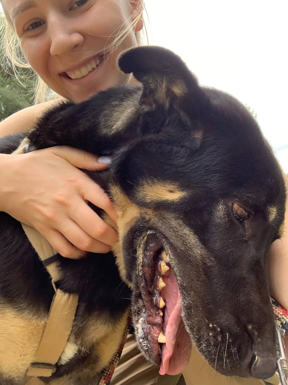 Anastasia, pet sitter in Amsterdam, photo 4