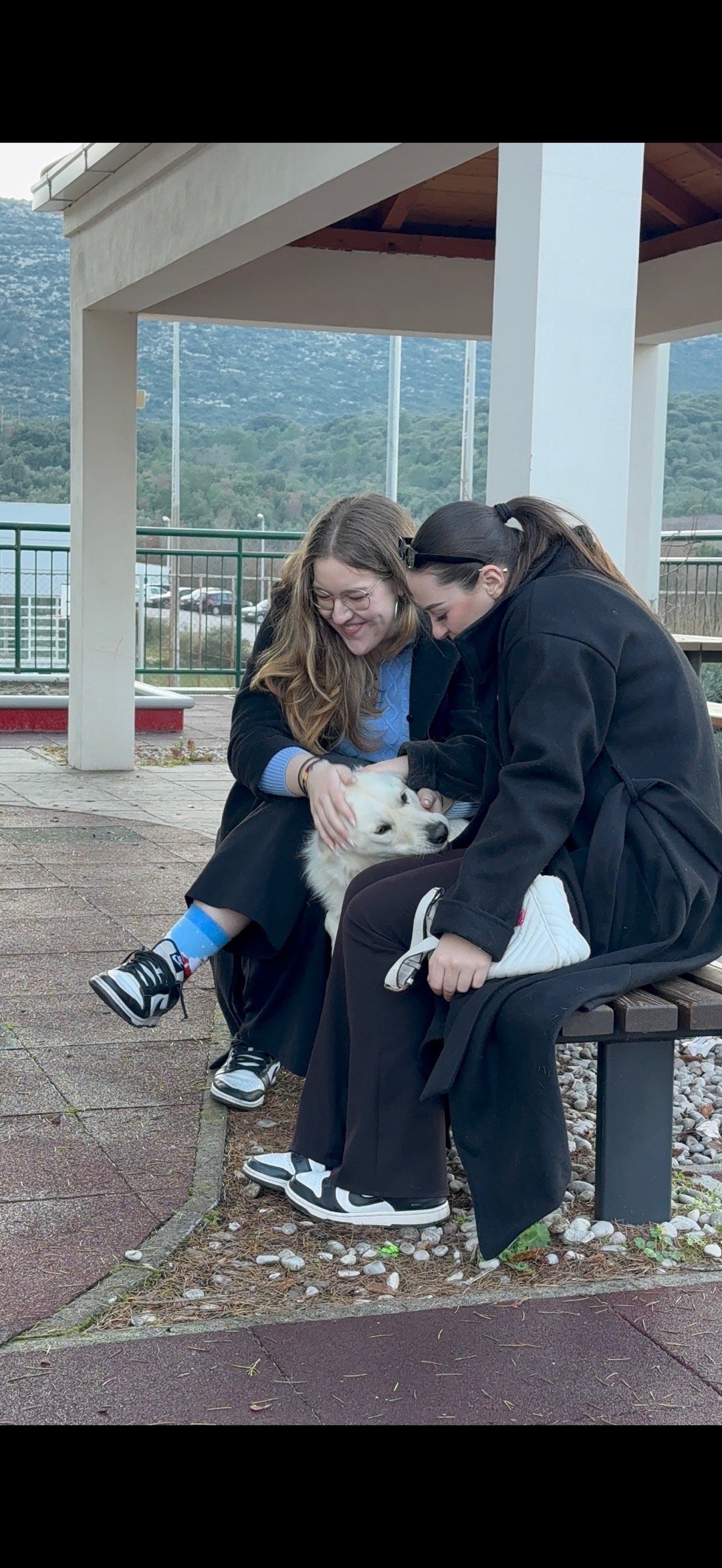 Marina, pet sitter in Den Haag, photo 2