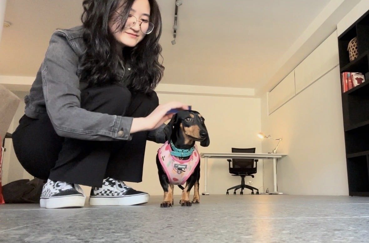 ruby, pet sitter in Amsterdam, photo 4