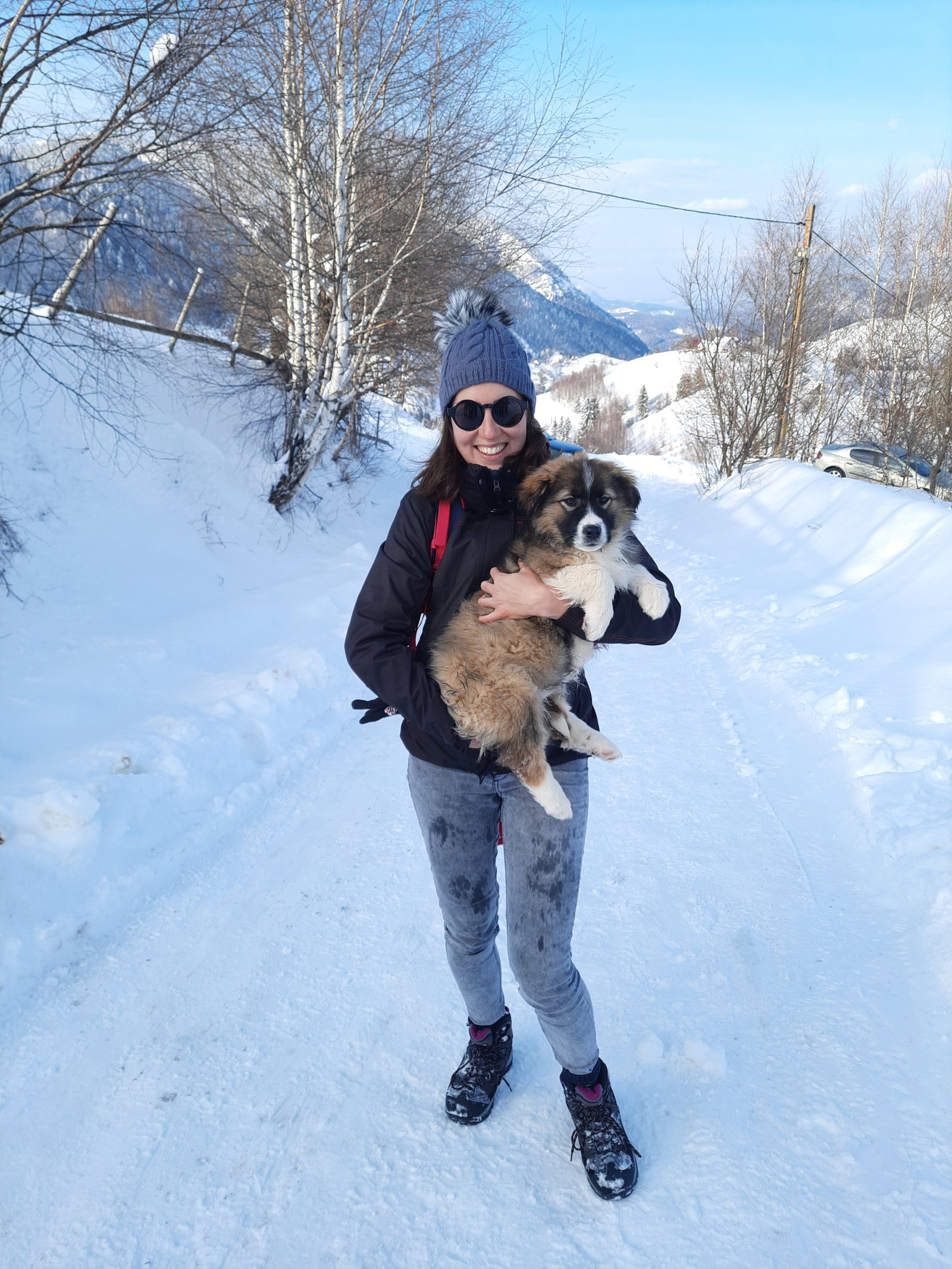 Cristiana, pet sitter in Diemen, photo 4