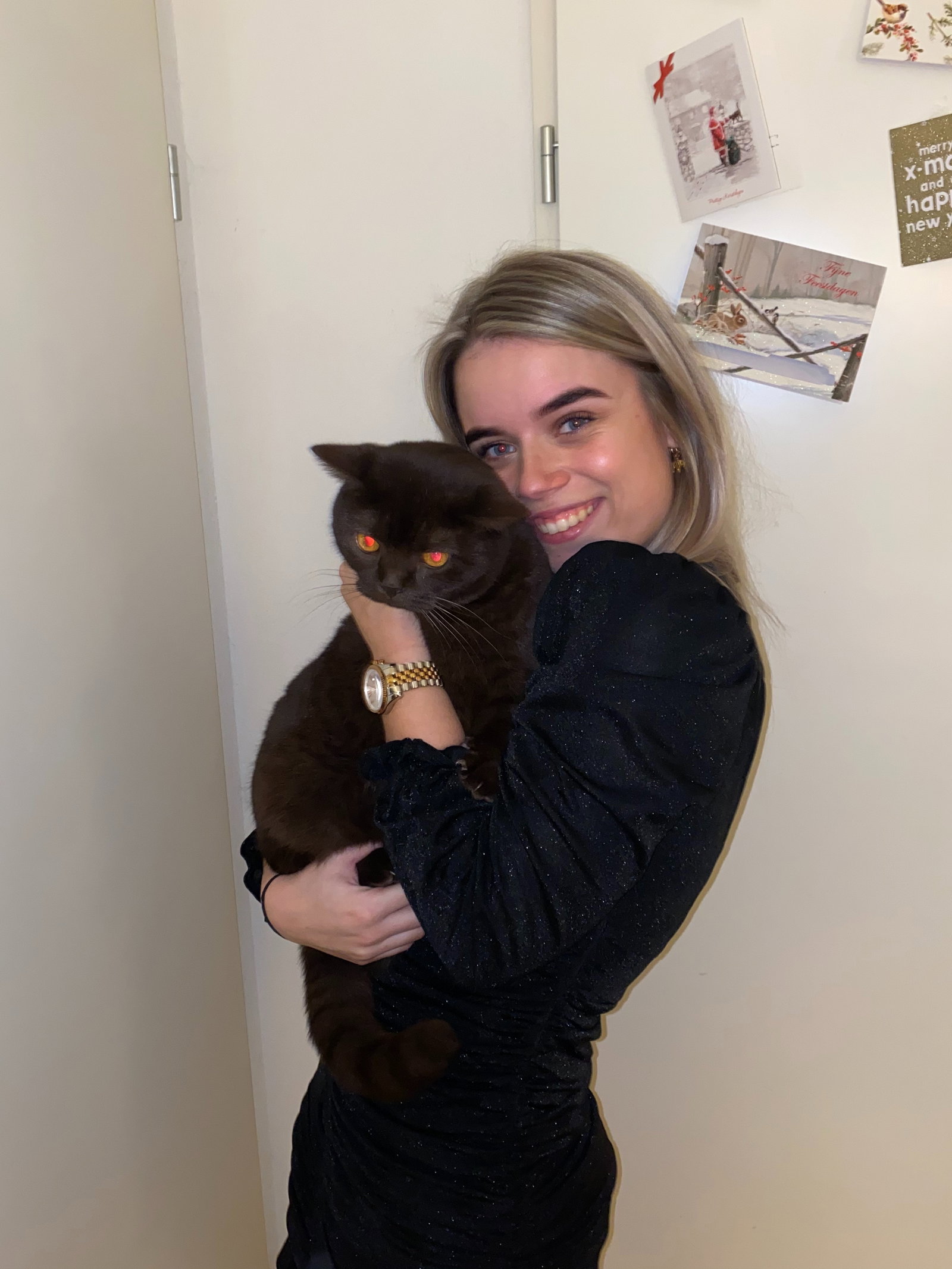 Merel, dierenoppas in Purmerend, foto 1