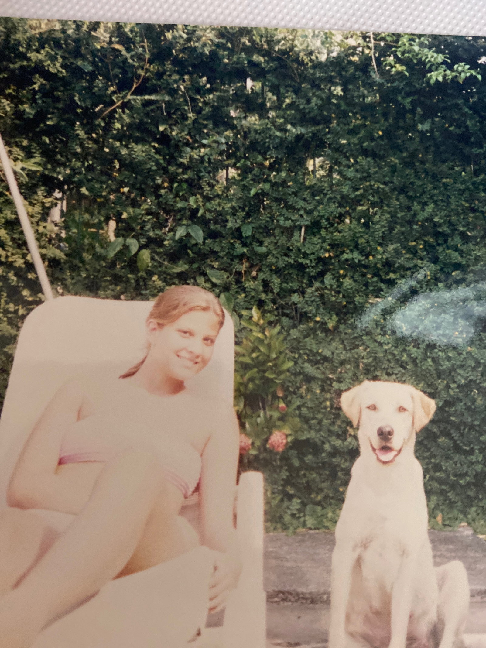 Carol, pet sitter in Utrecht, photo 3