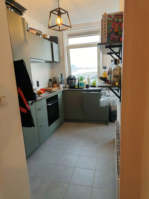 Quinten, pet sitter in Voorburg, photo 4