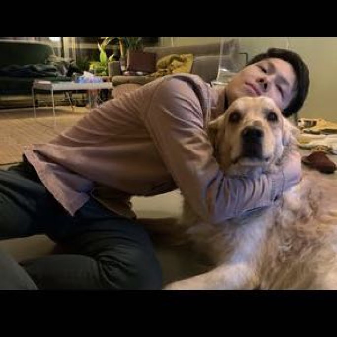 zining, pet sitter in Amsterdam, photo 3