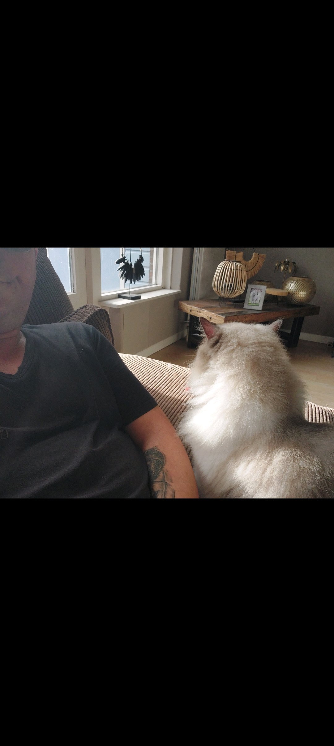 Alex, pet sitter in Den Haag, photo 5