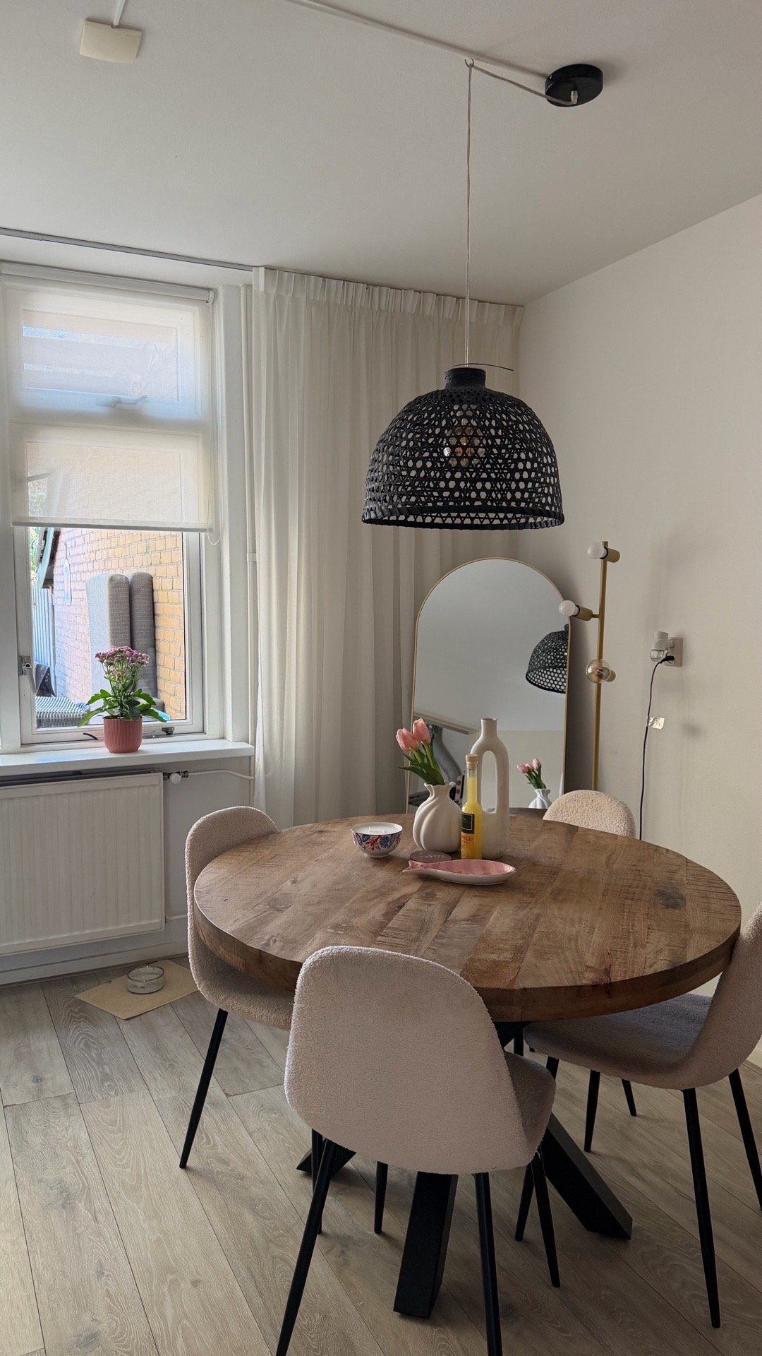 Tjitske Silke, pet sitter in dokkum, photo 3
