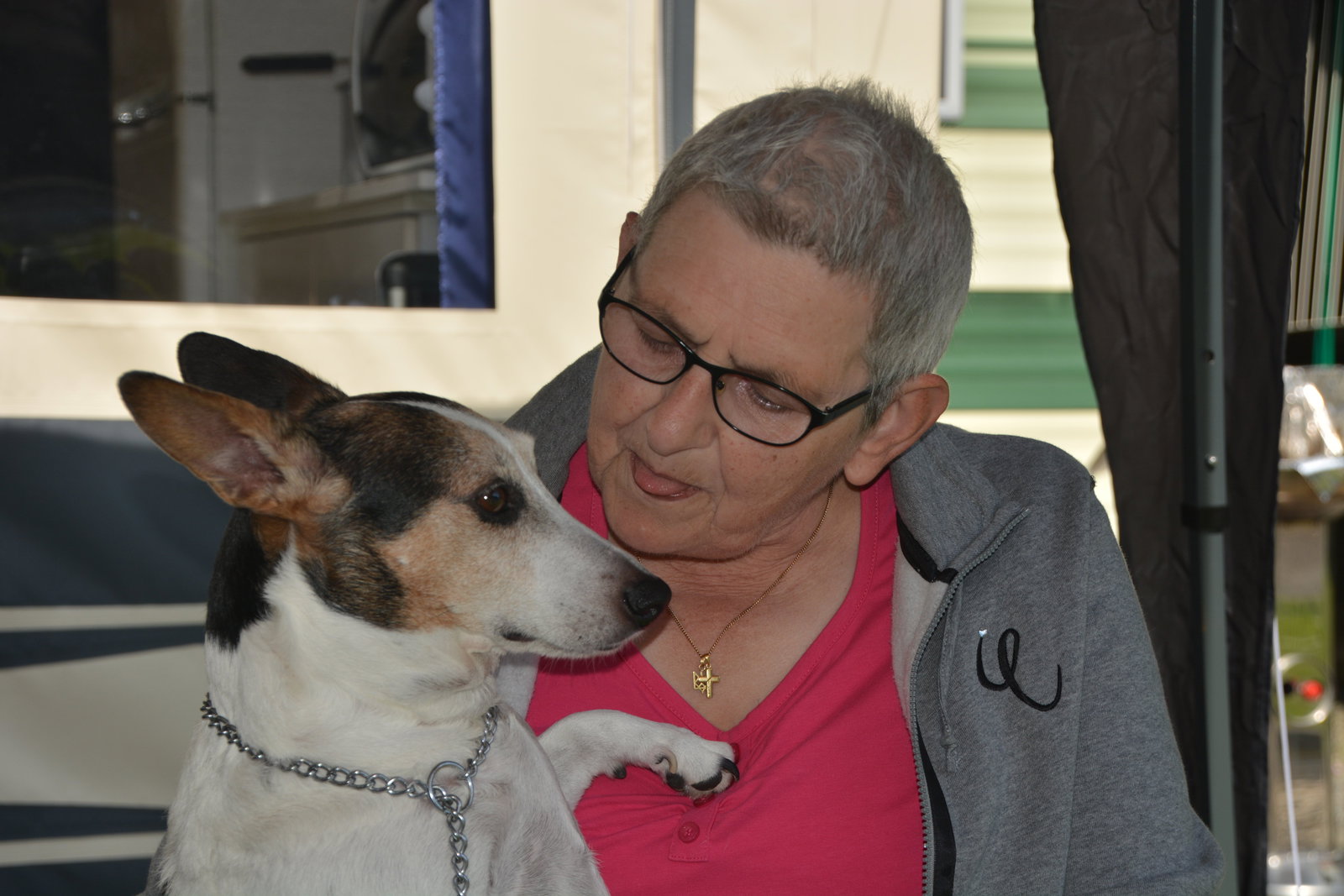 Yvonne, dierenoppas in Sint-Truiden, foto 3