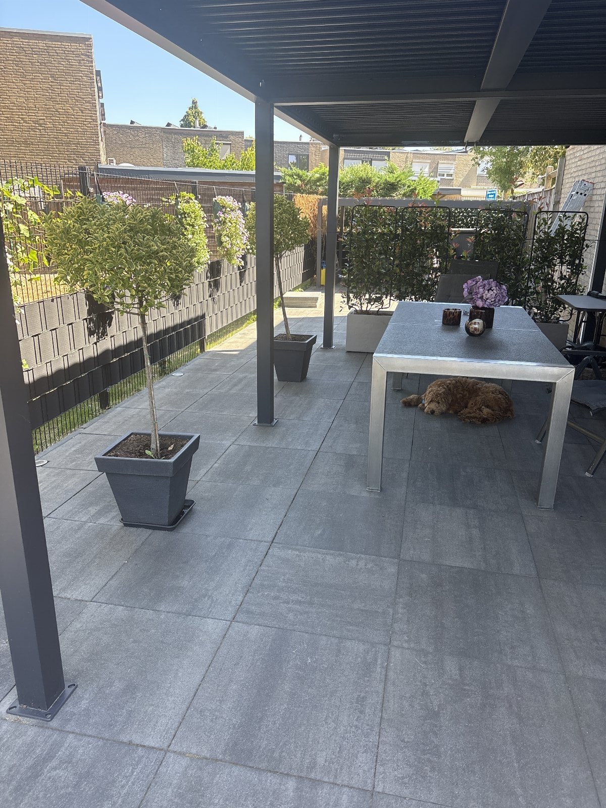 Marsha, pet sitter in Landgraaf, photo 2