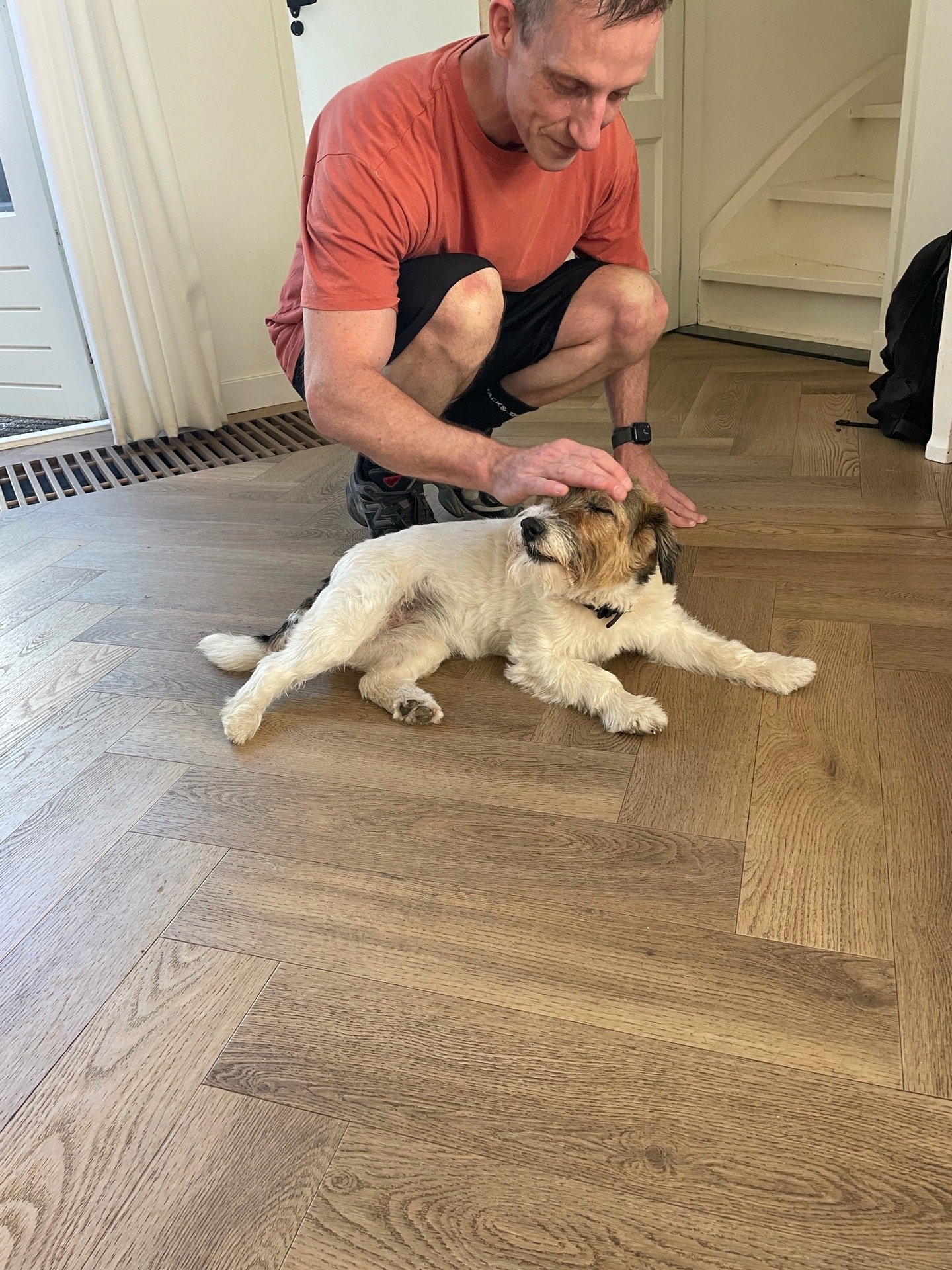 Jesper, pet sitter in Breda, photo 5