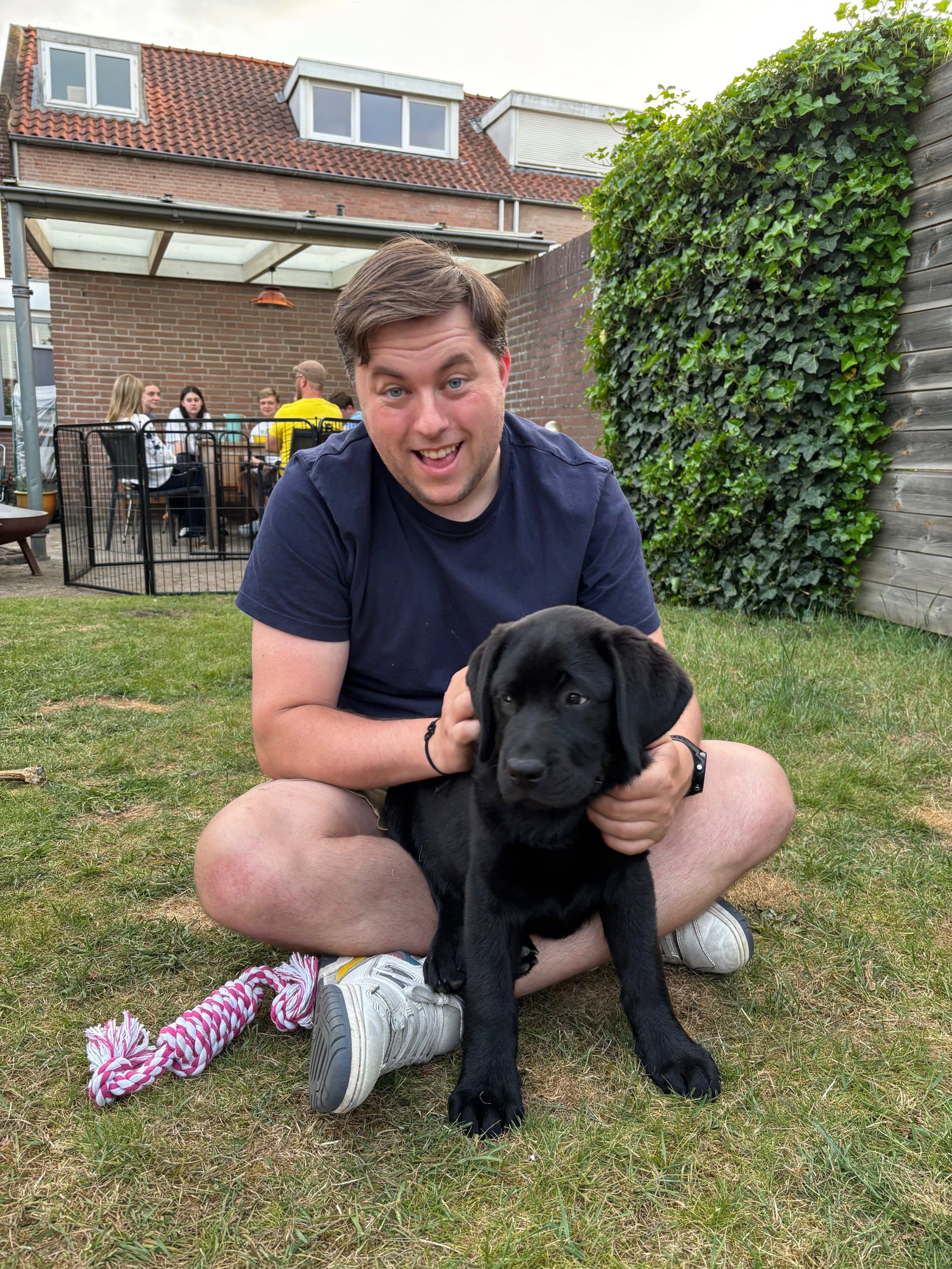 Wieske, pet sitter in Dongen, photo 3