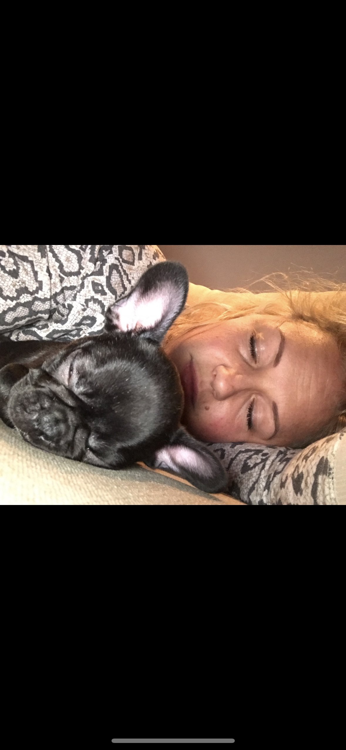 mandy, pet sitter in Zandvoort, photo 1