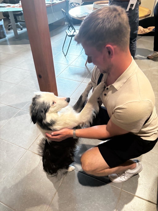 Eva & Niels, pet sitter in 's-Gravenhage, photo 1