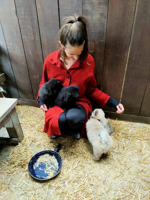 Charlotte, pet sitter in 's-Gravenhage, photo 3