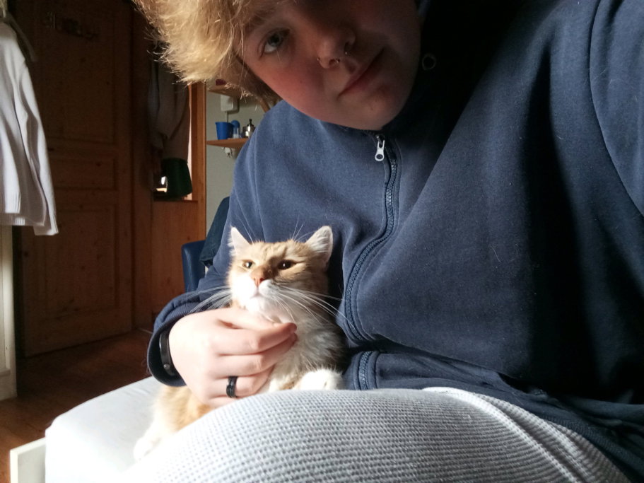 Sverre, pet sitter in Goes, photo 2