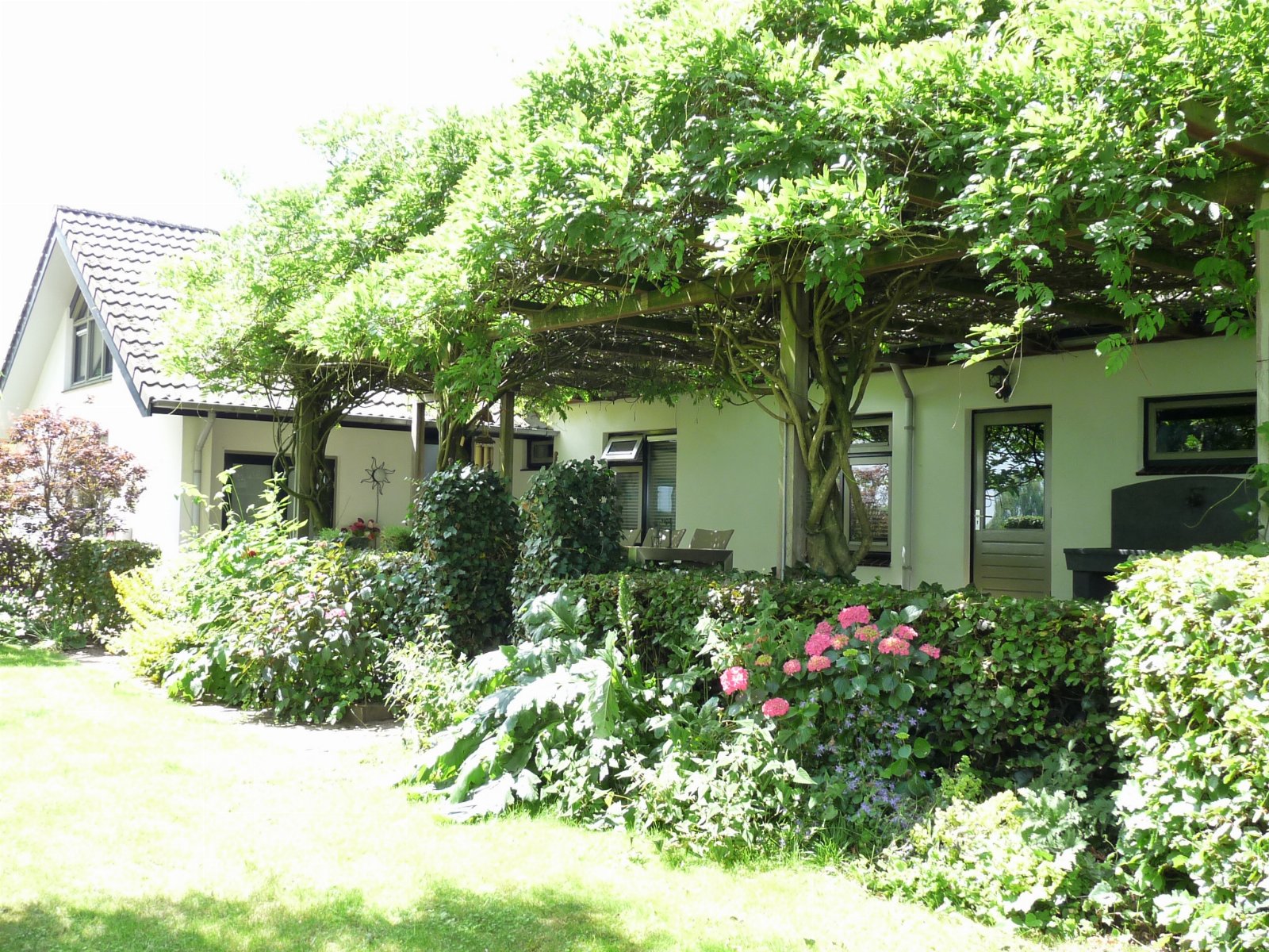 Wilma, dierenoppas in Echteld, foto 2