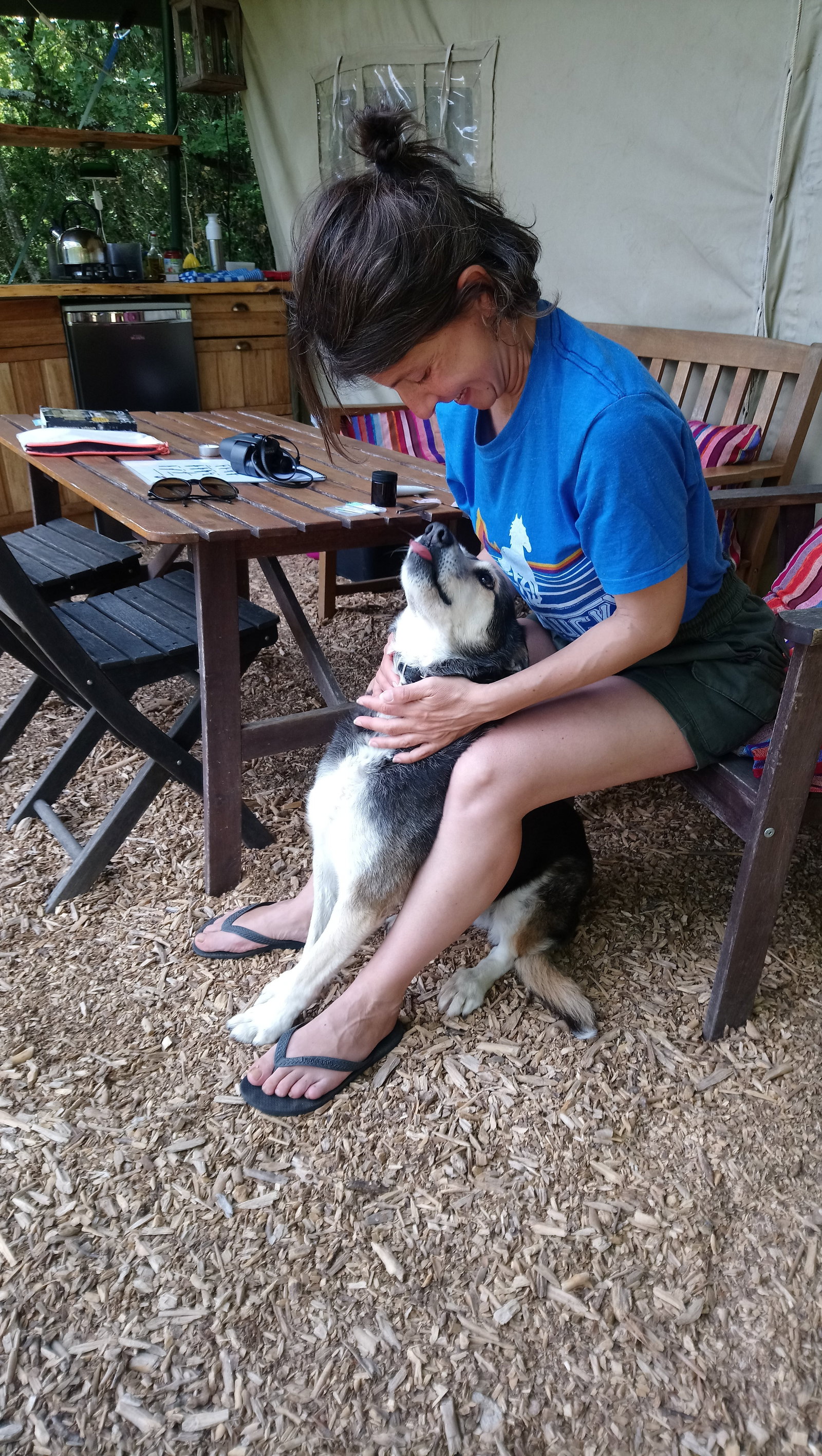 Daniela, pet sitter in Alkmaar, photo 5