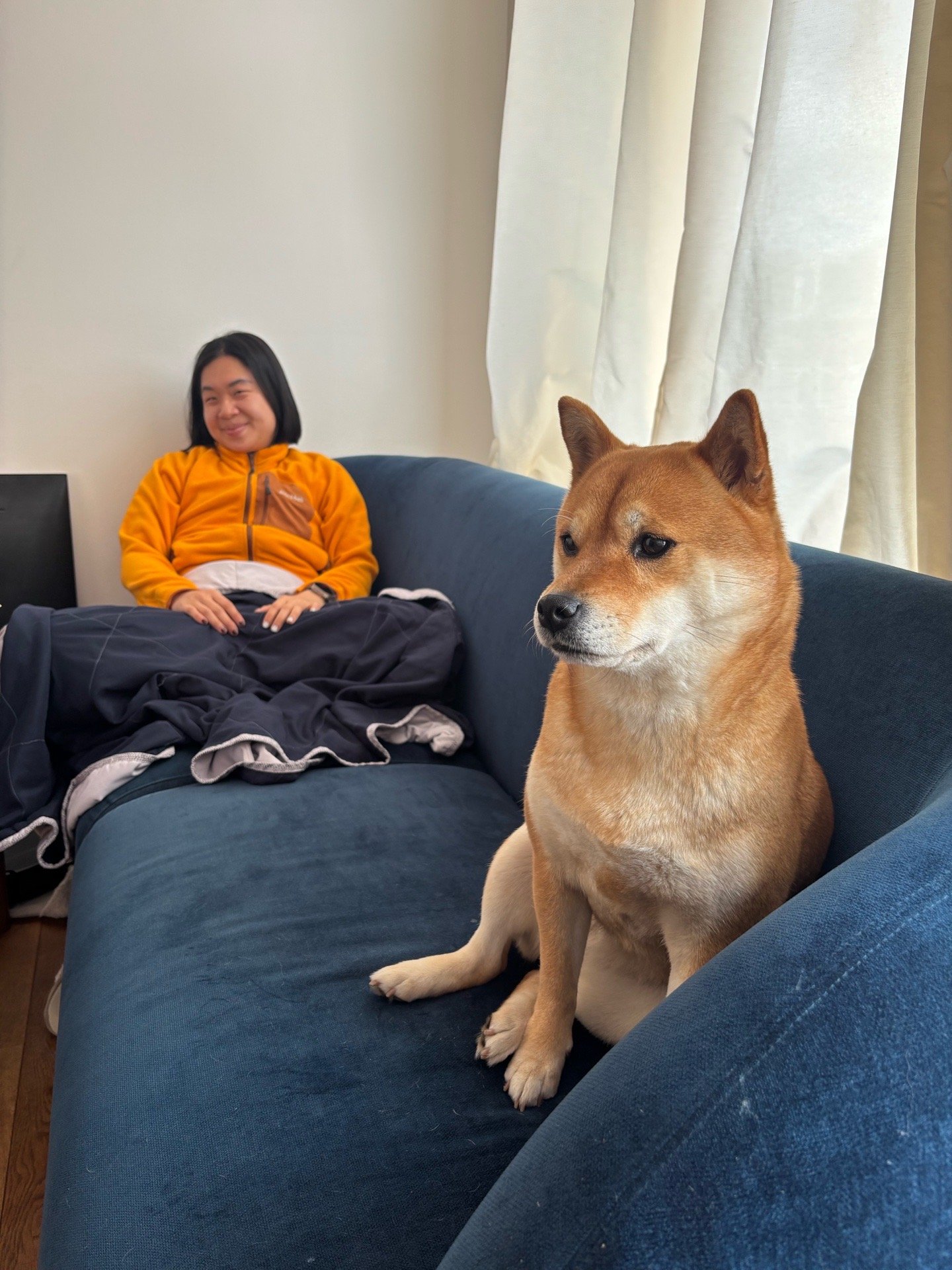 Mateo, pet sitter in Amsterdam, photo 3