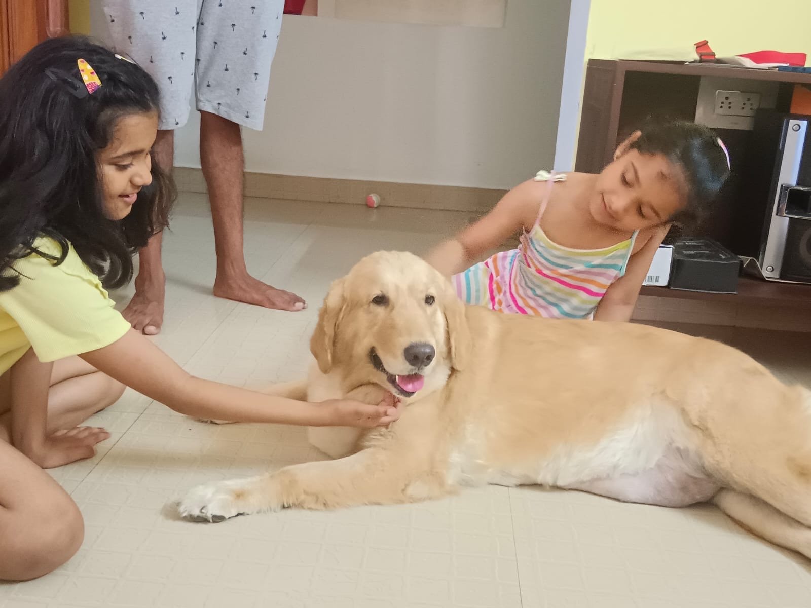 Vijayalakshmi, pet sitter in Voorburg, photo 1