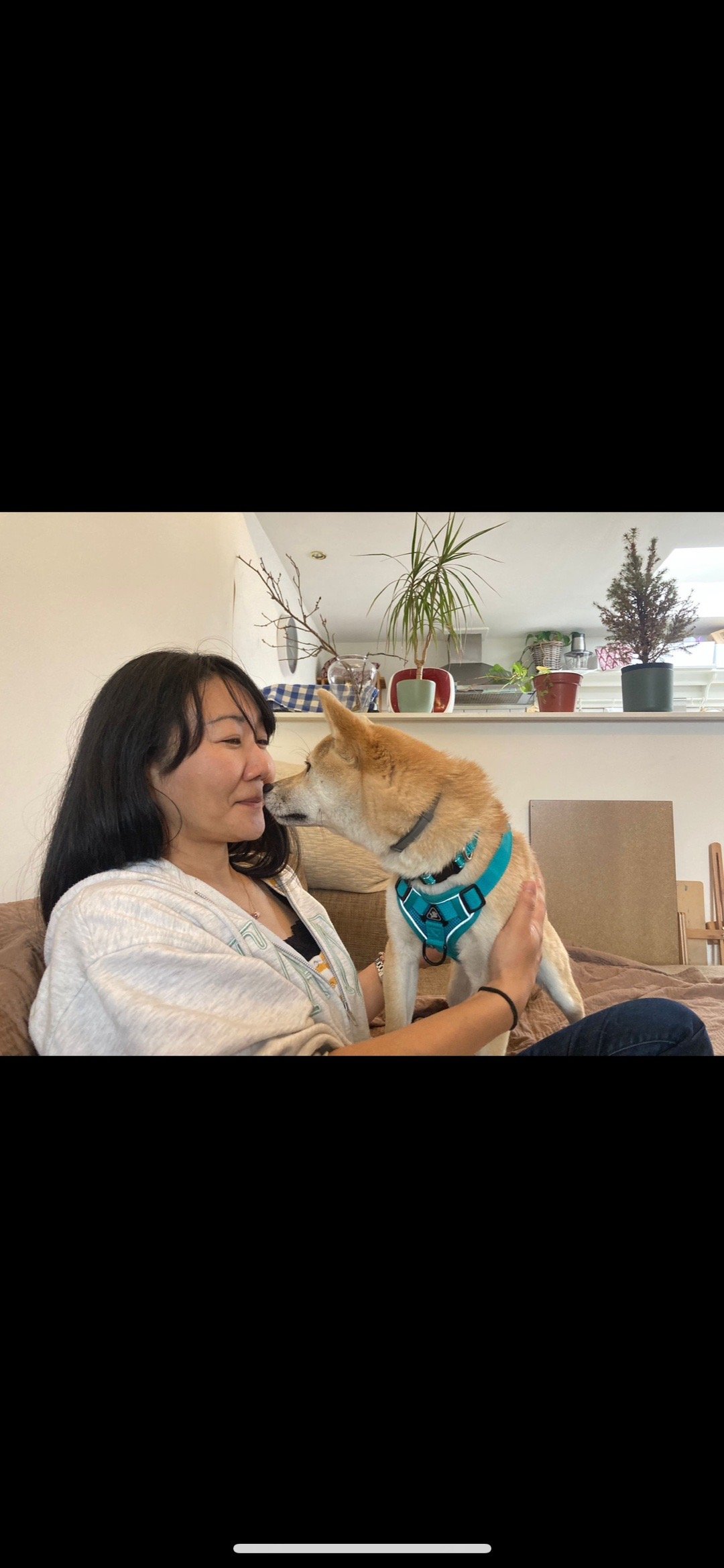 Tomomi, pet sitter in Den Haag, photo 4