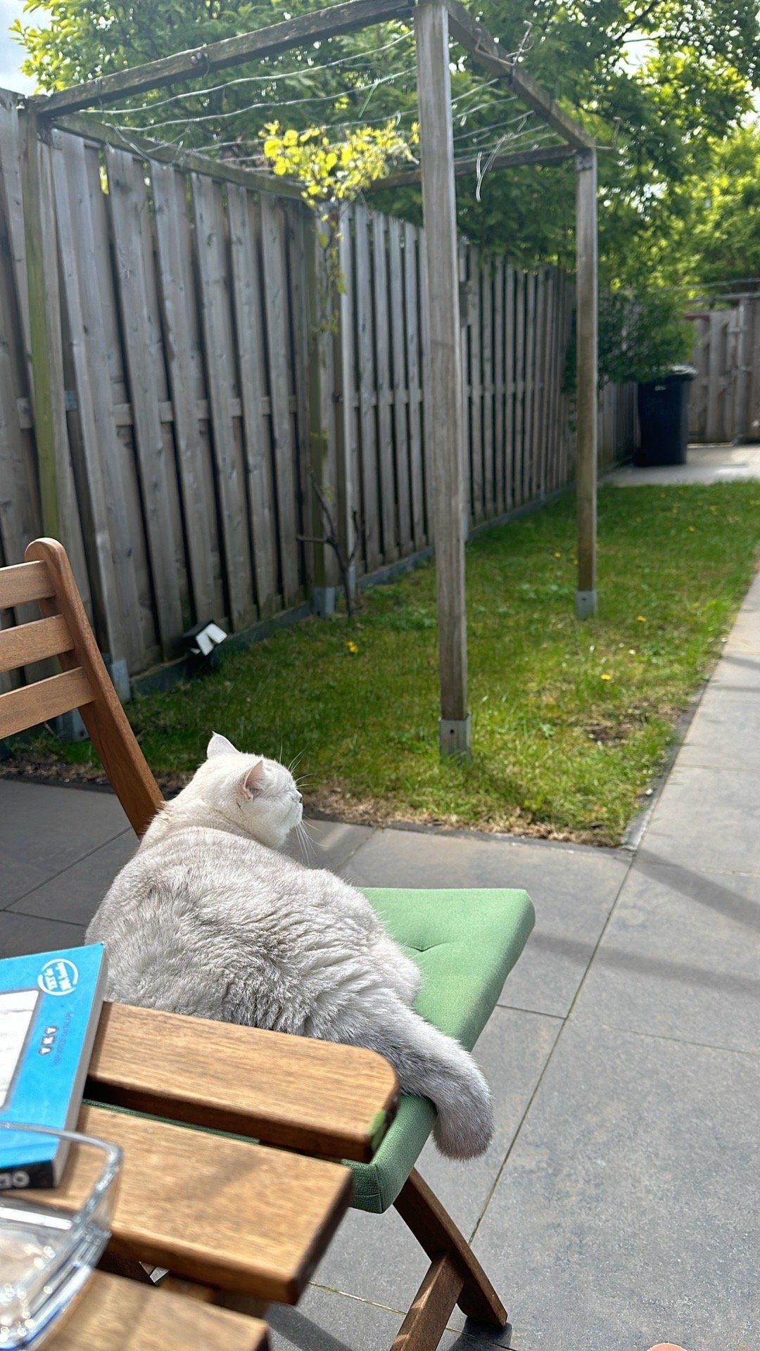 Dilek Nur, pet sitter in Helmond, photo 1