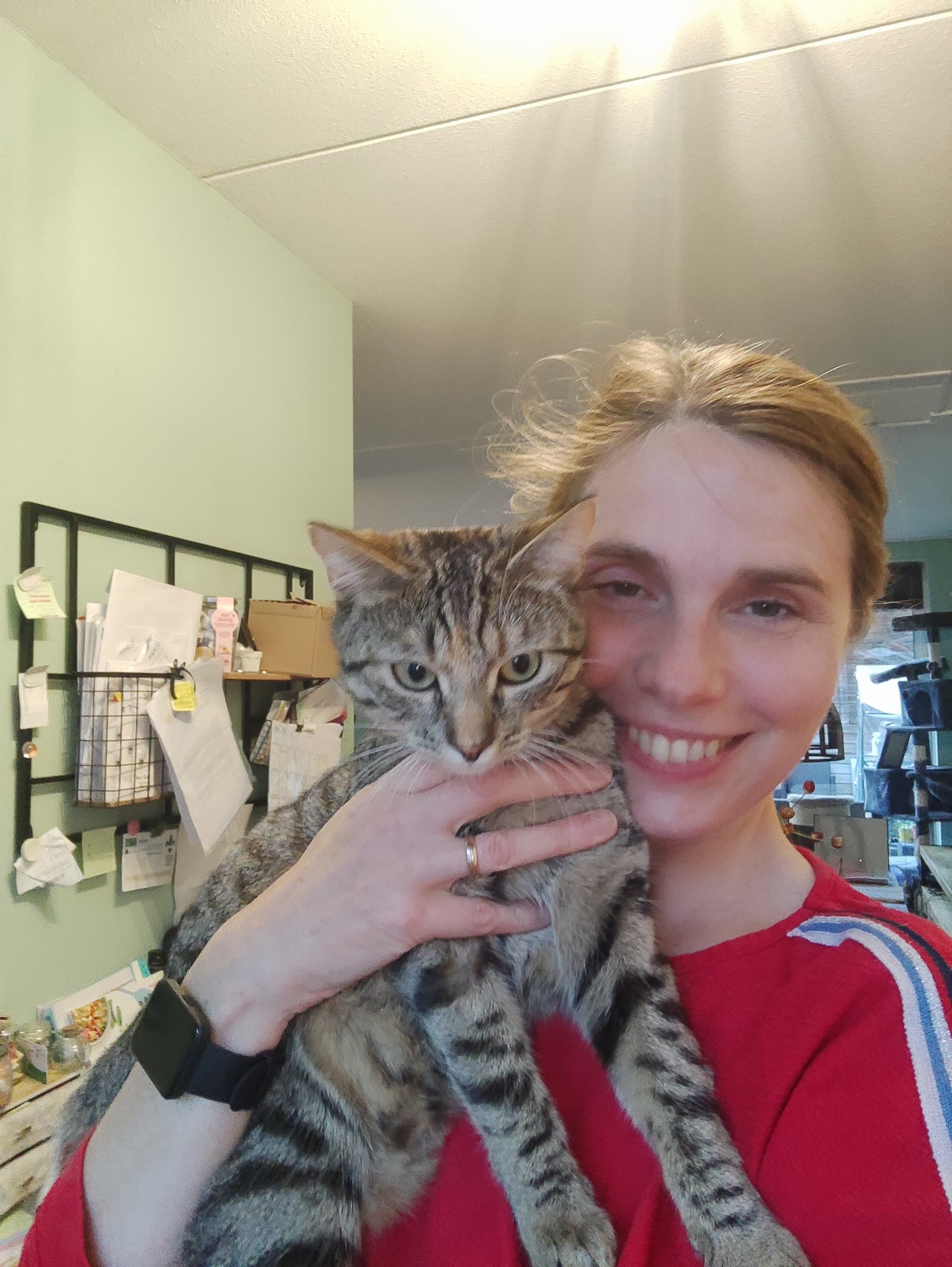 Diana, pet sitter in Berkel en Rodenrijs, photo 5