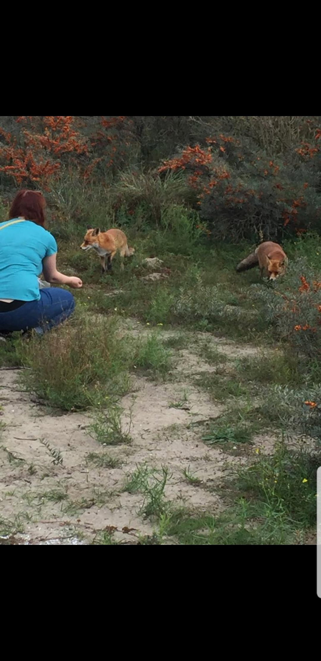 Ronja, pet sitter in 's-Gravenhage, photo 4