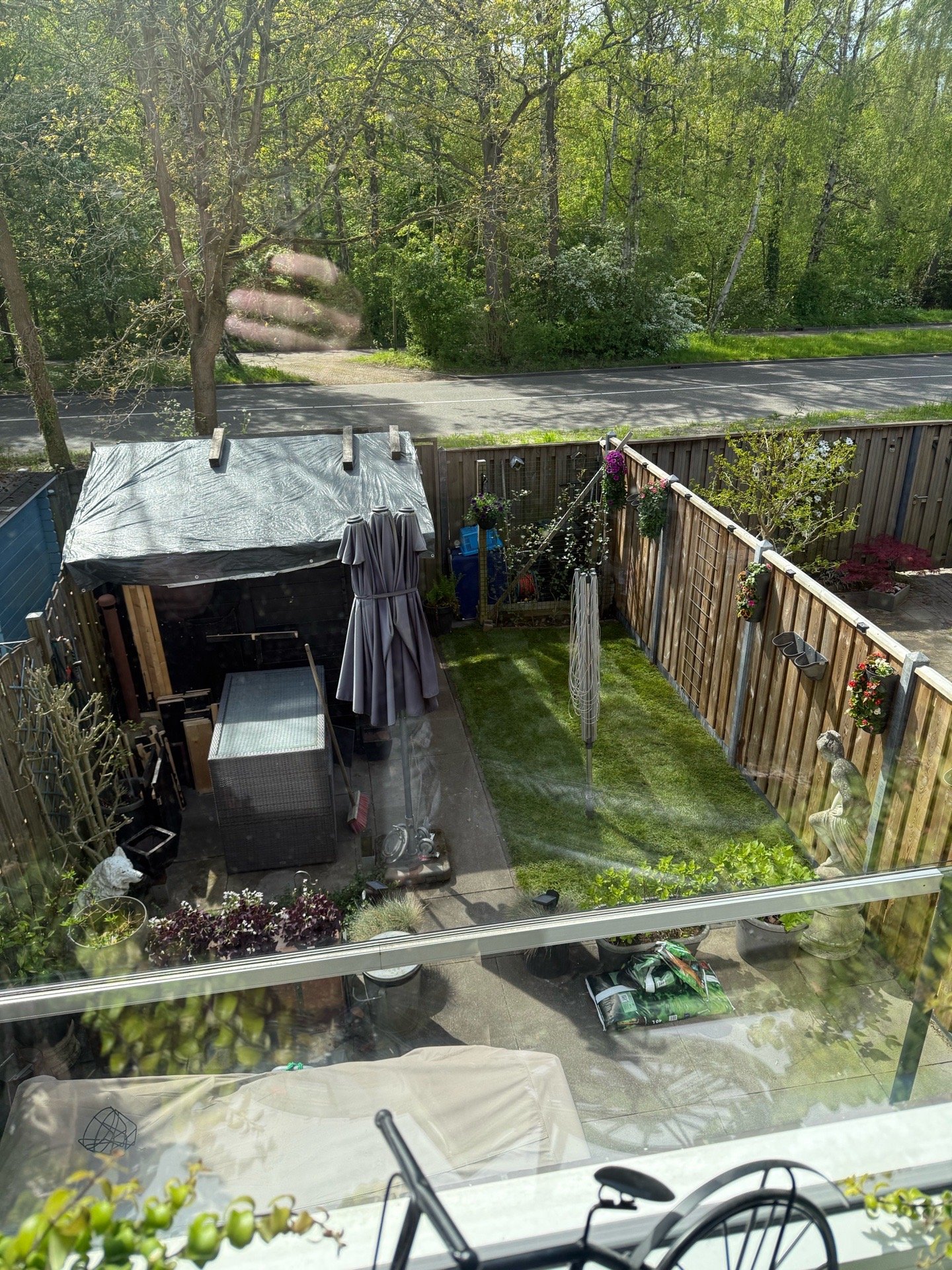 Peter, dierenoppas in Vlaardingen, foto 5