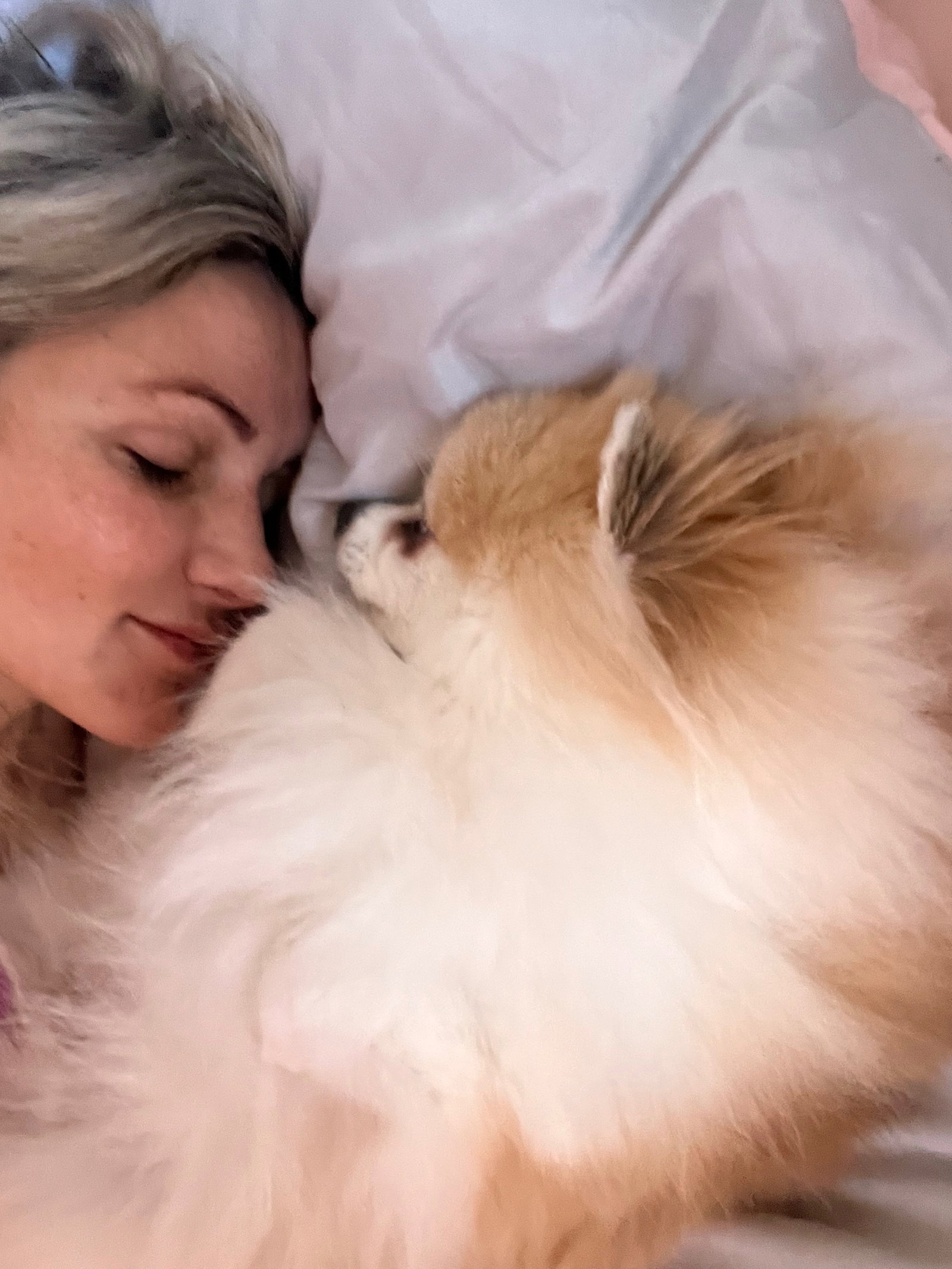 Ivana Back Stüpp, pet sitter in Putzbrunn, photo 3