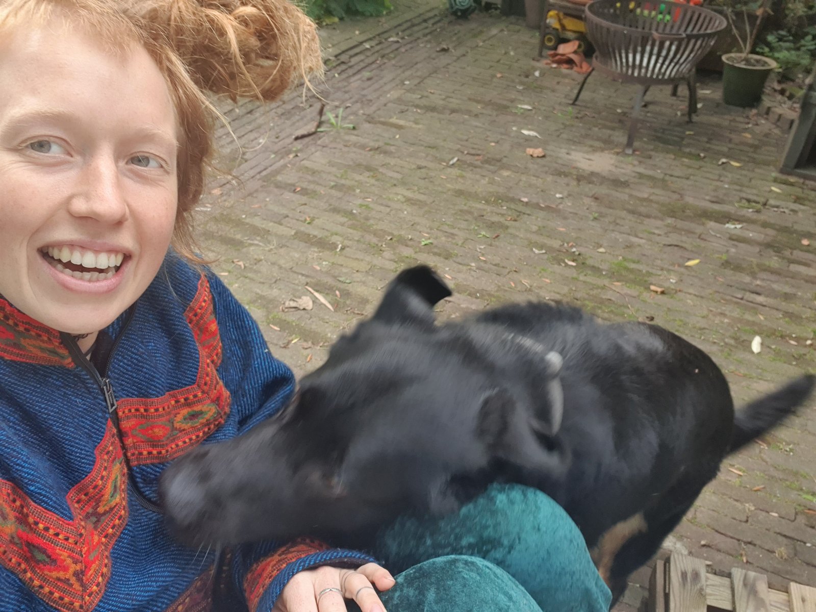 Margo, dierenoppas in Wageningen, foto 3