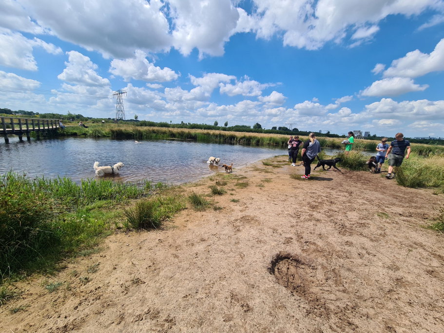 Willeke, pet sitter in Groningen, photo 2