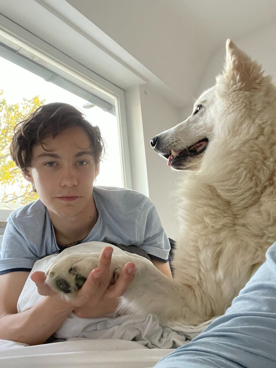 Andrii, Tiersitter in Hamburg, Foto 4