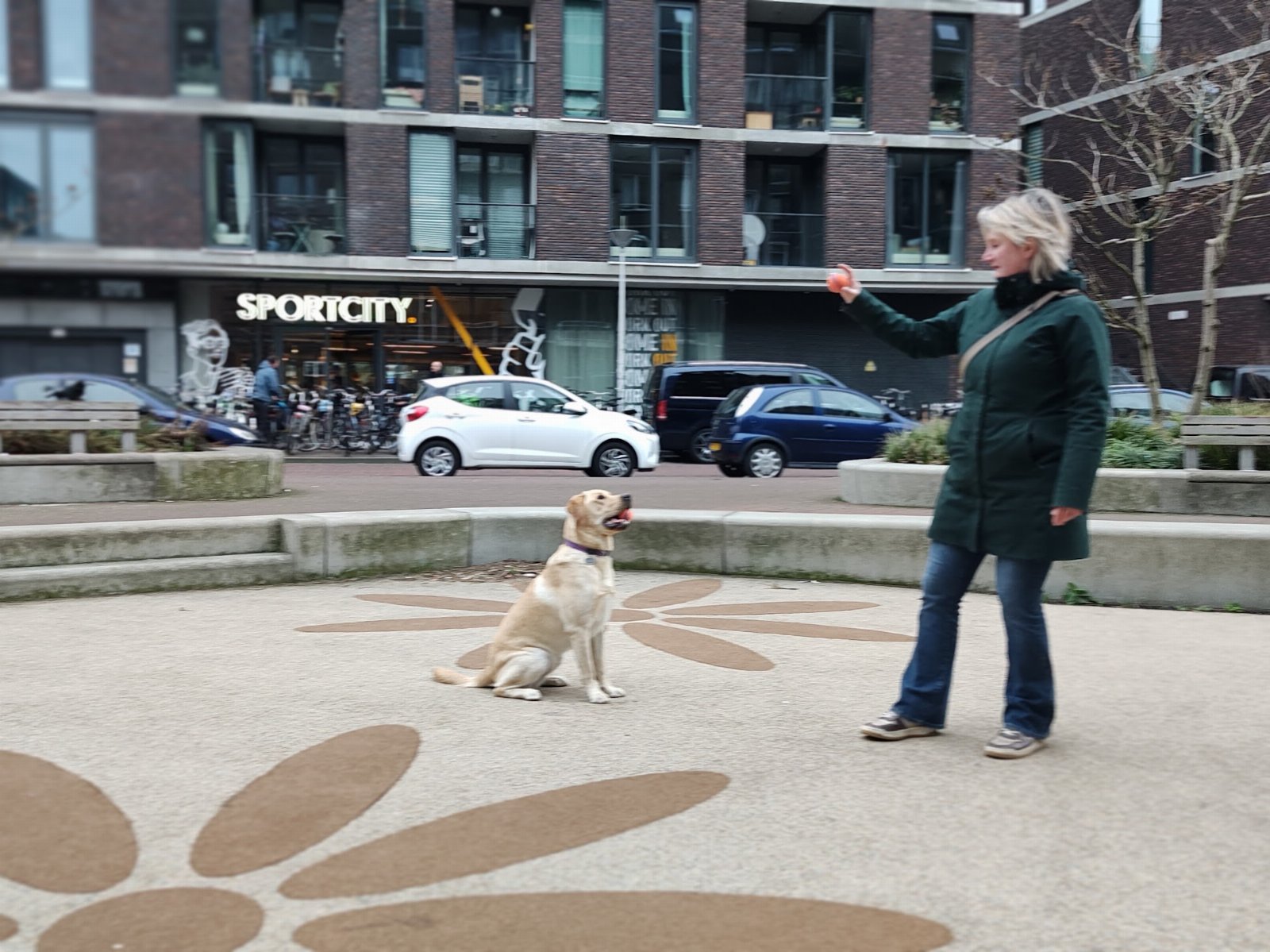 Jose, pet sitter in Utrecht, photo 3
