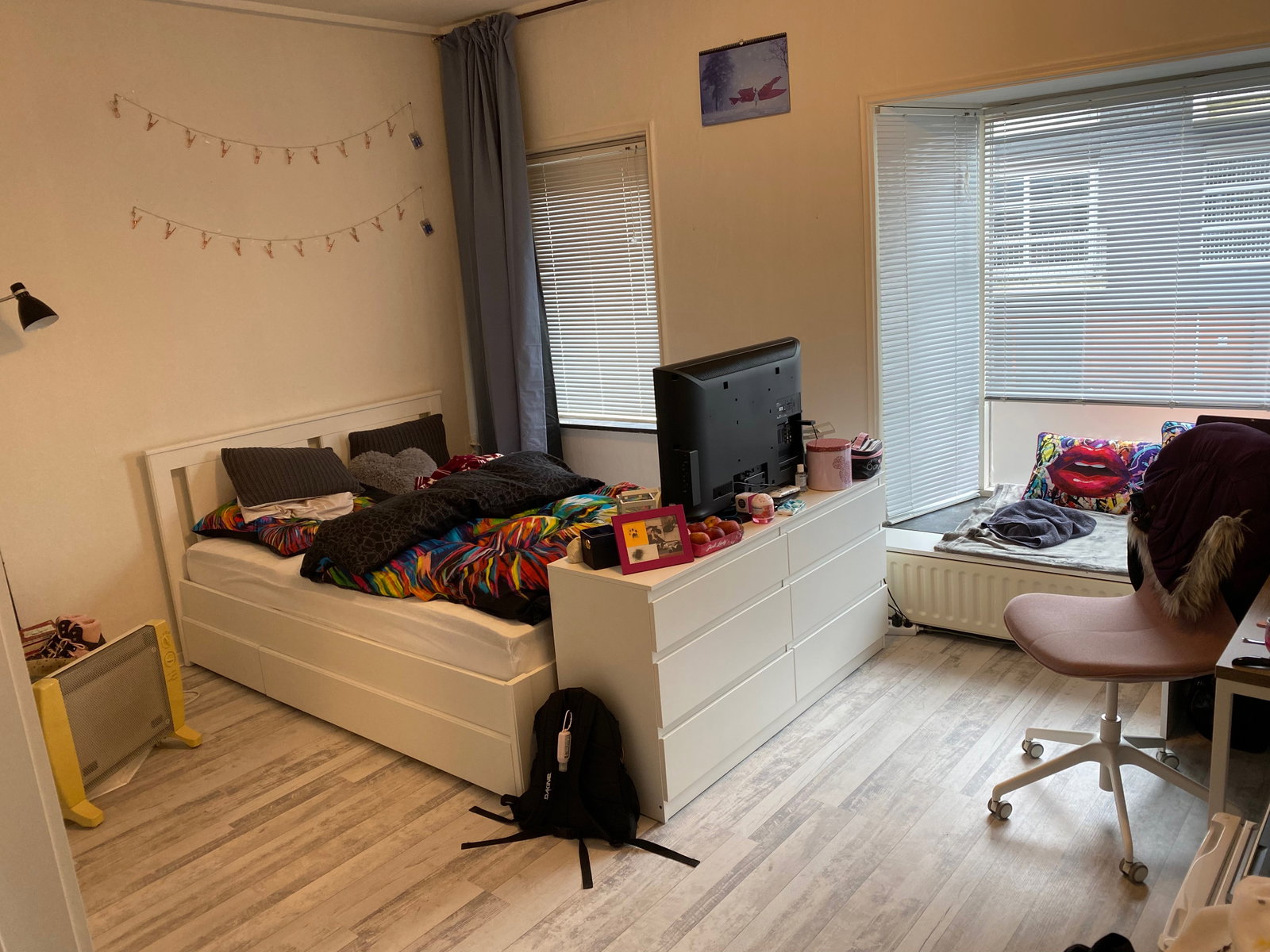 Leonie, pet sitter in Leeuwarden, photo 3